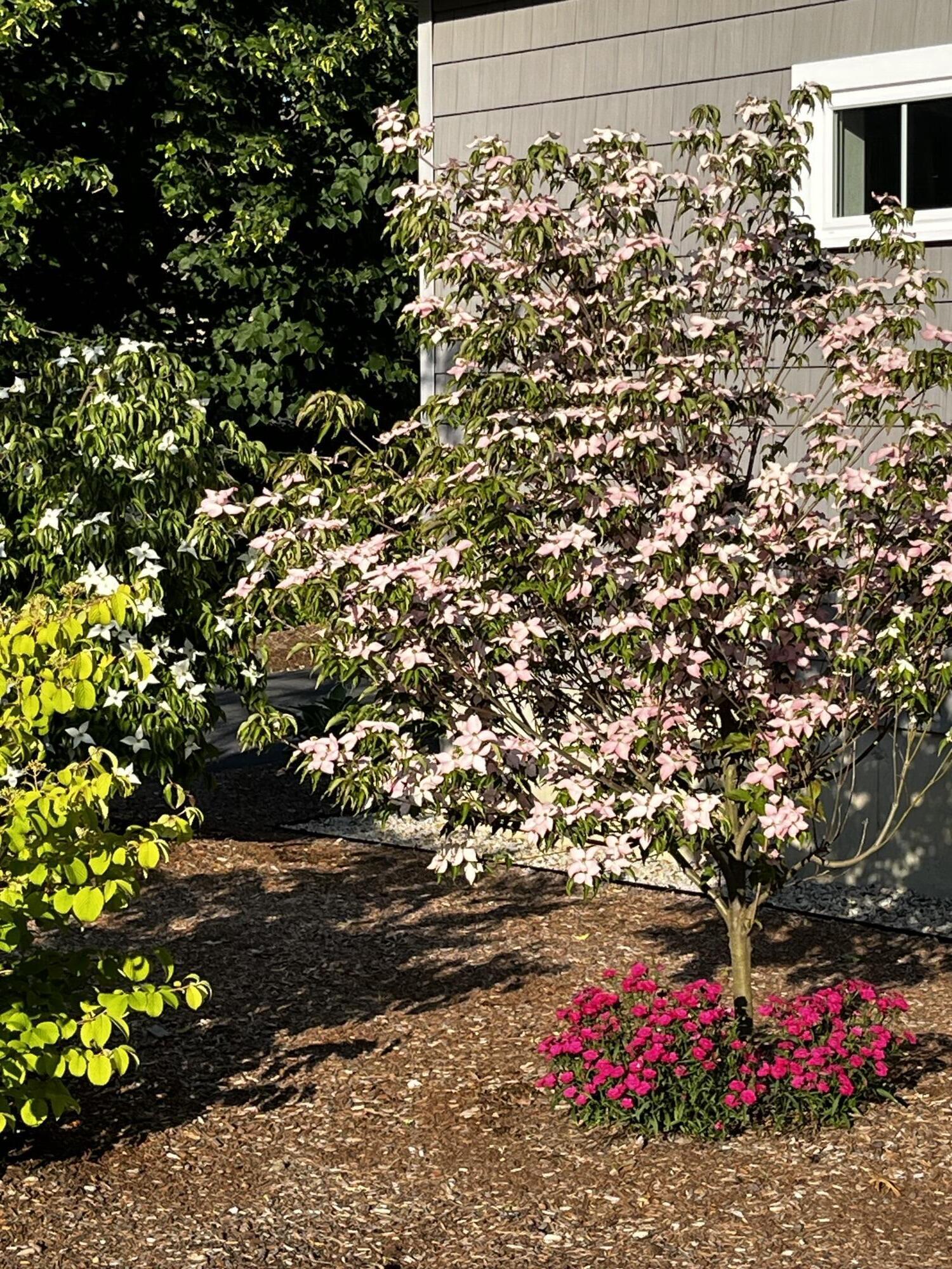 21 Fernald Avenue, B