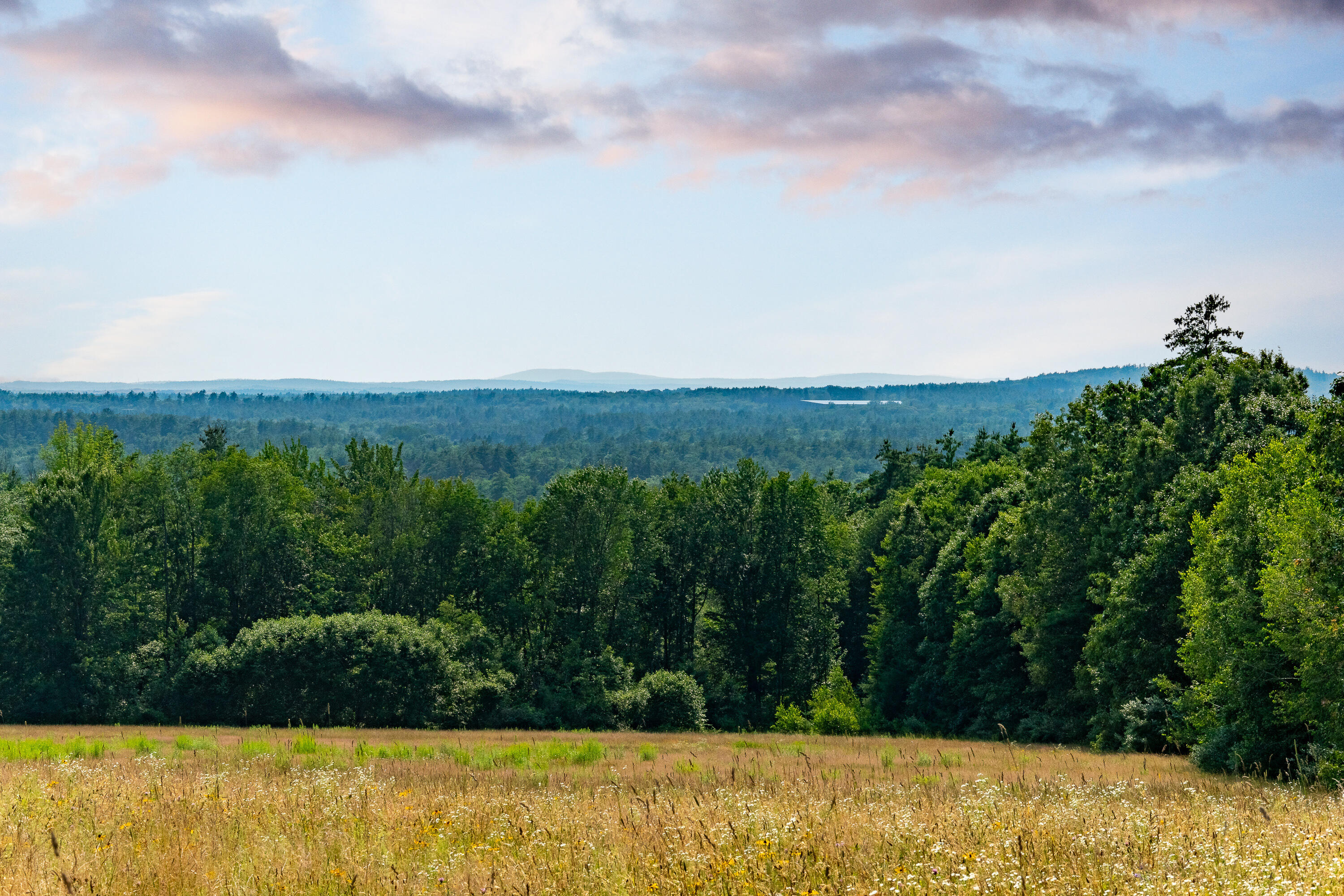 Off Pine Hill Road