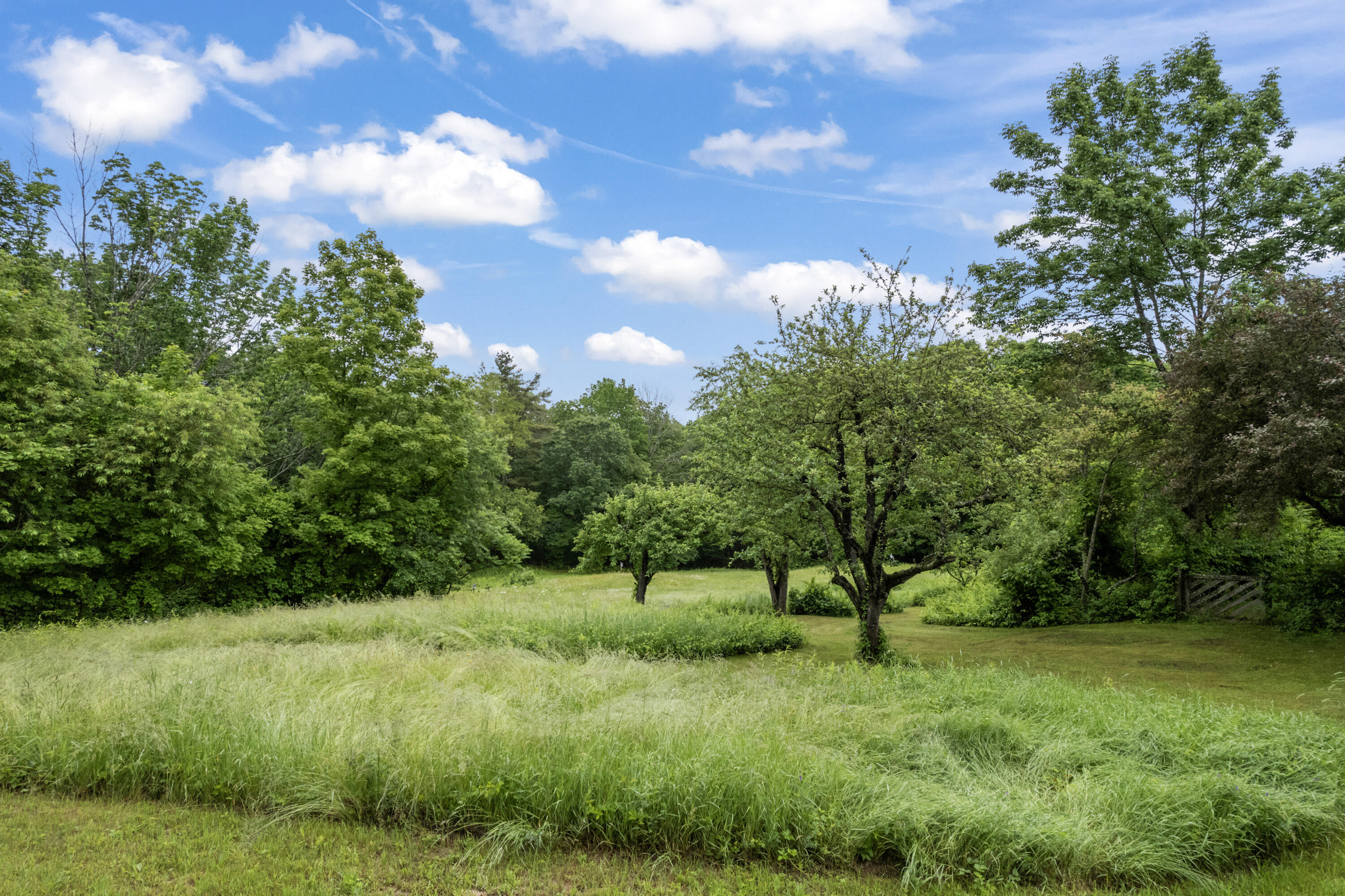 Lot 51 Ford Quint Road