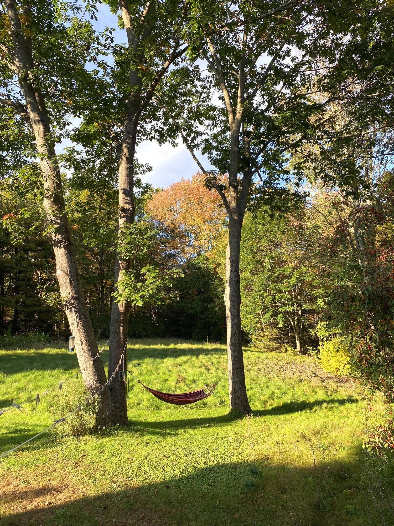 164 Clearview Drive