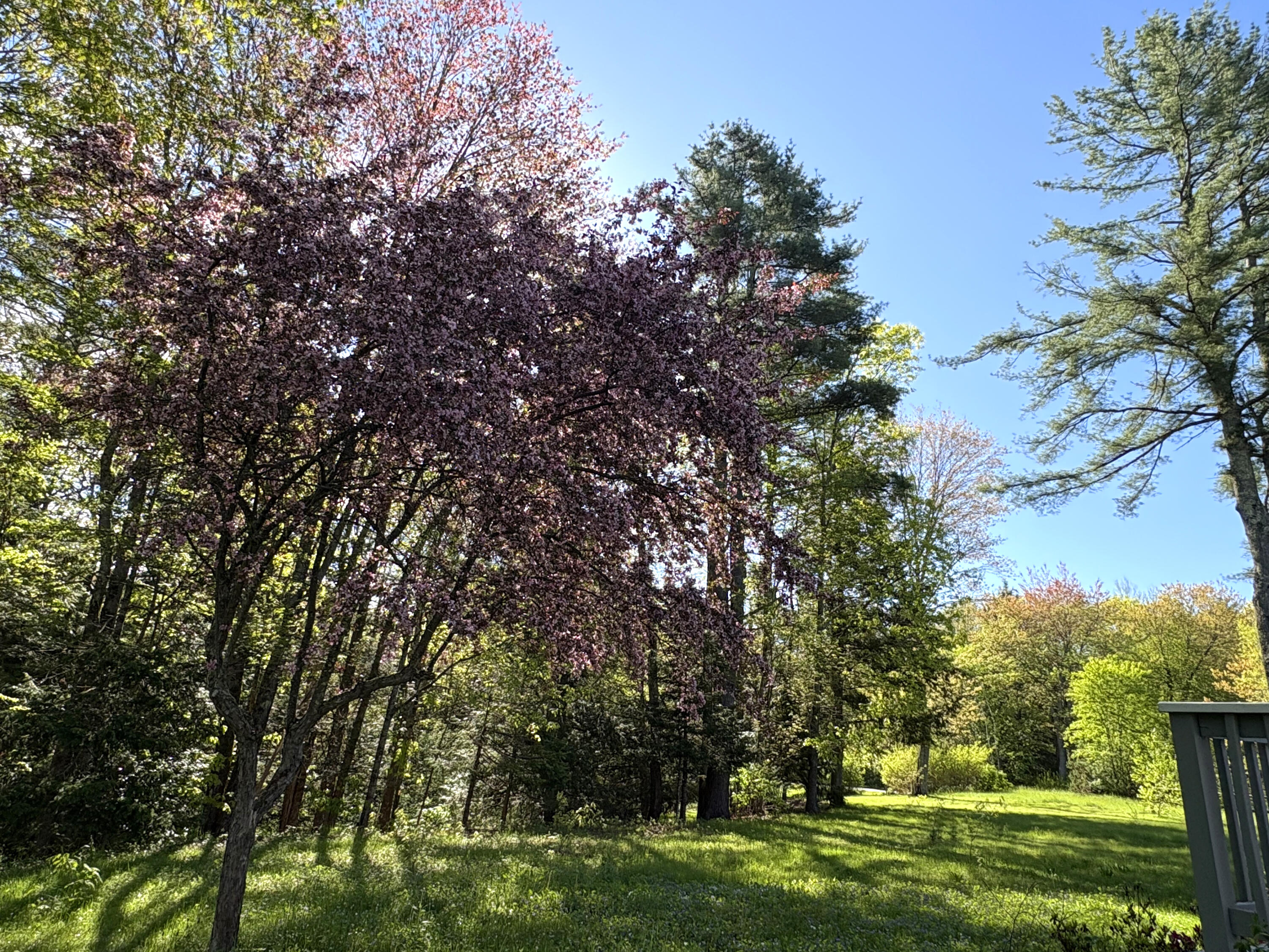 164 Clearview Drive