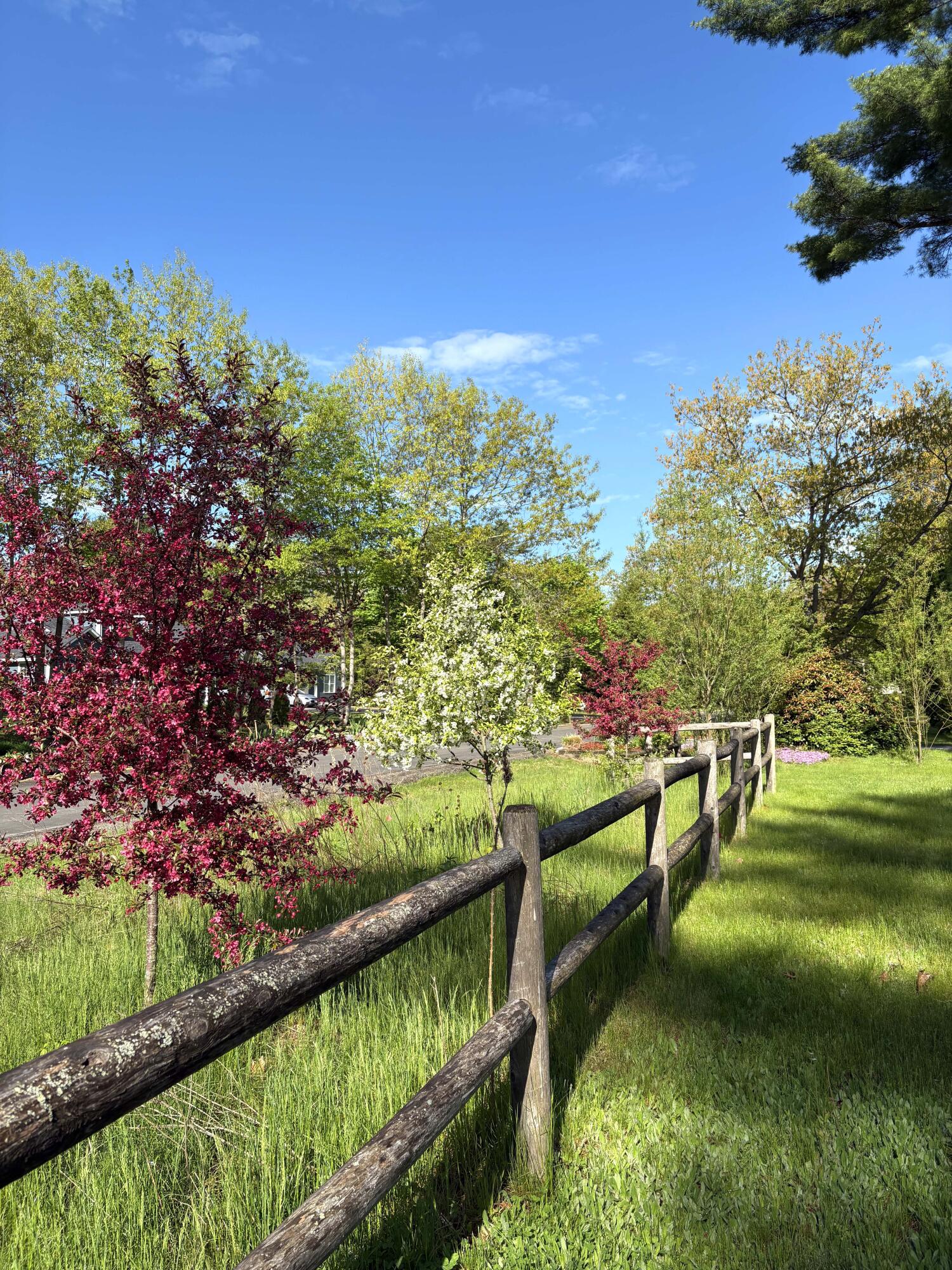 164 Clearview Drive
