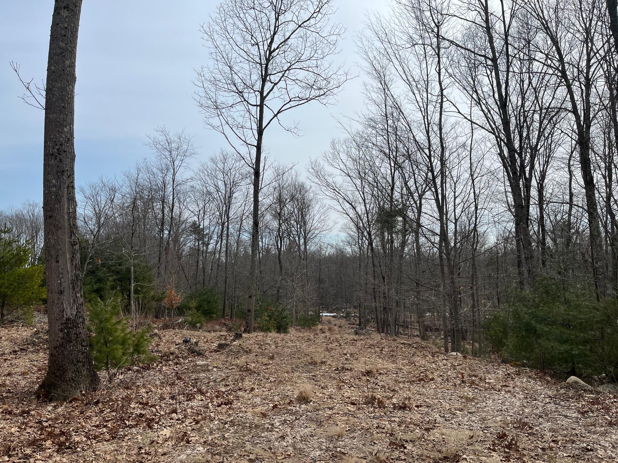 22 Turkeytail Lane