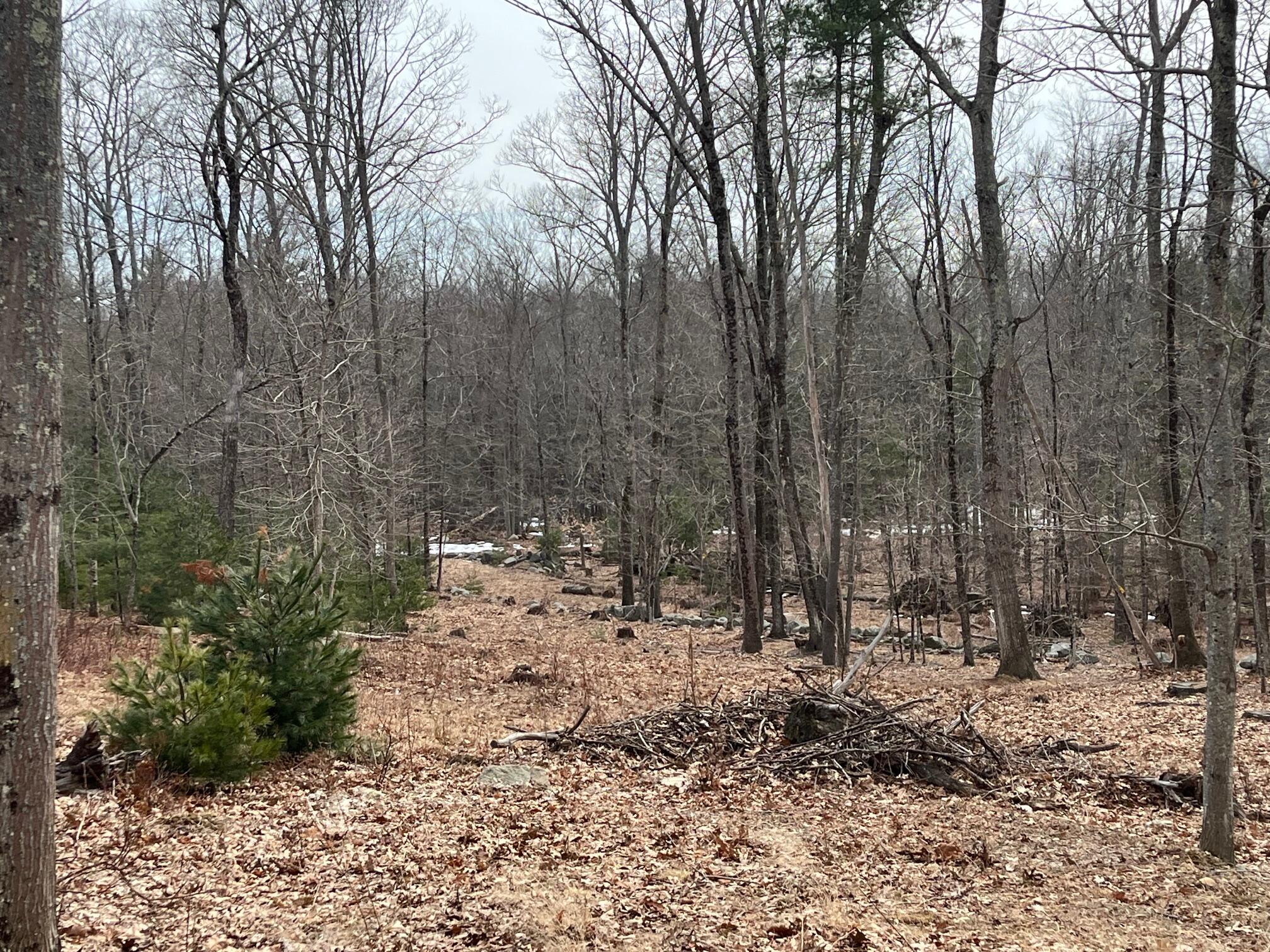 22 Turkeytail Lane