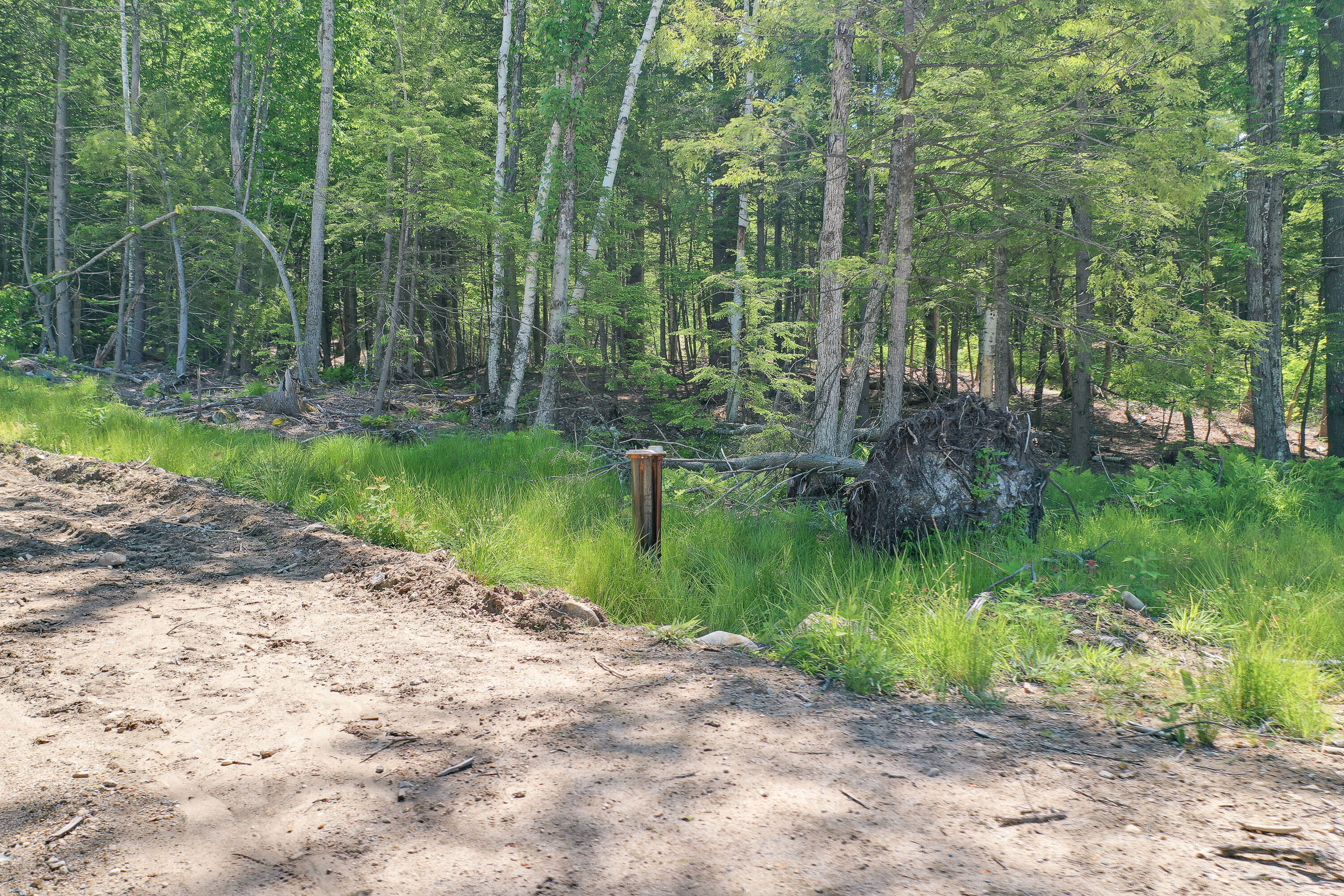 264 State Loop 23
