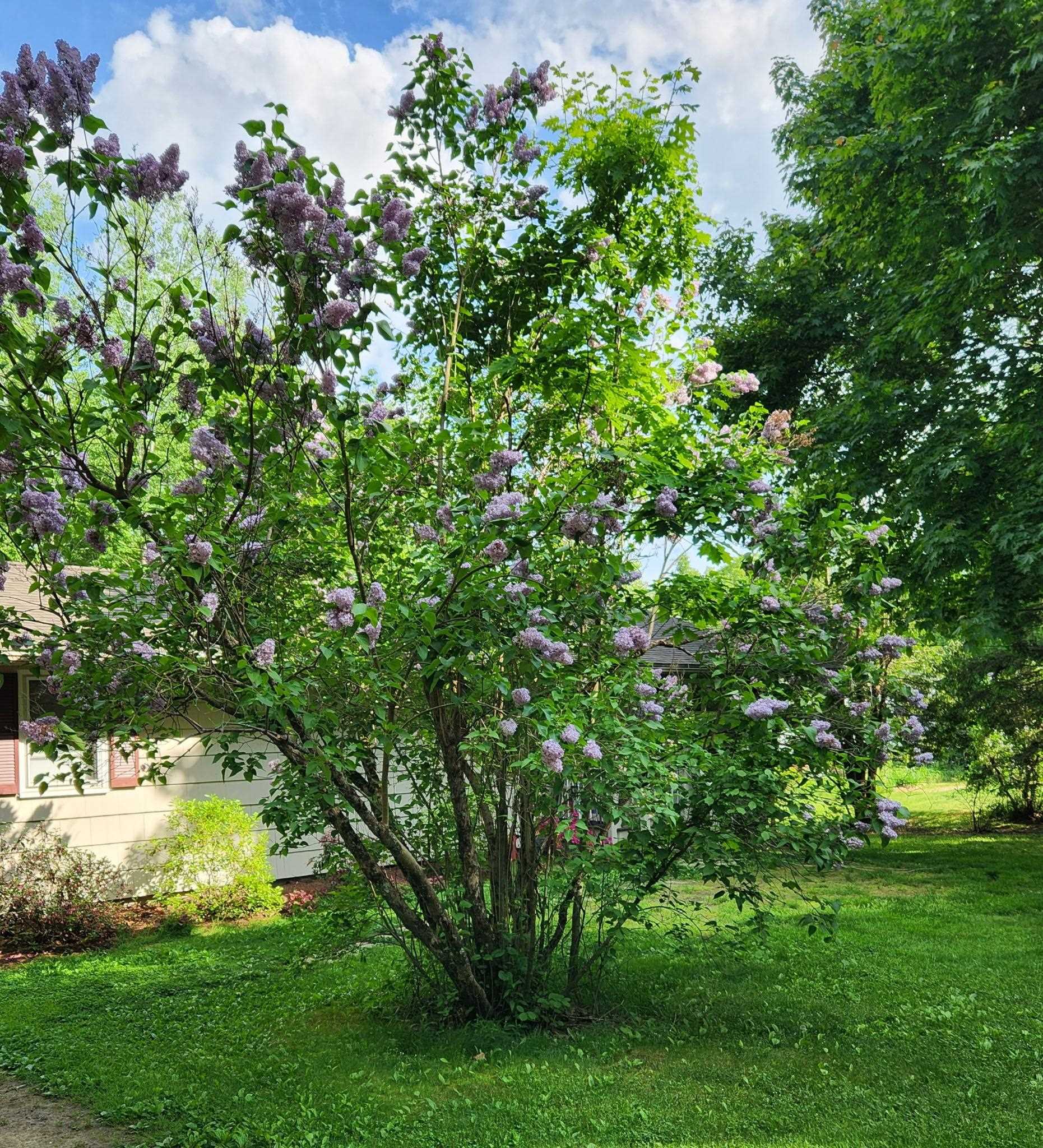 5 Quarry Road