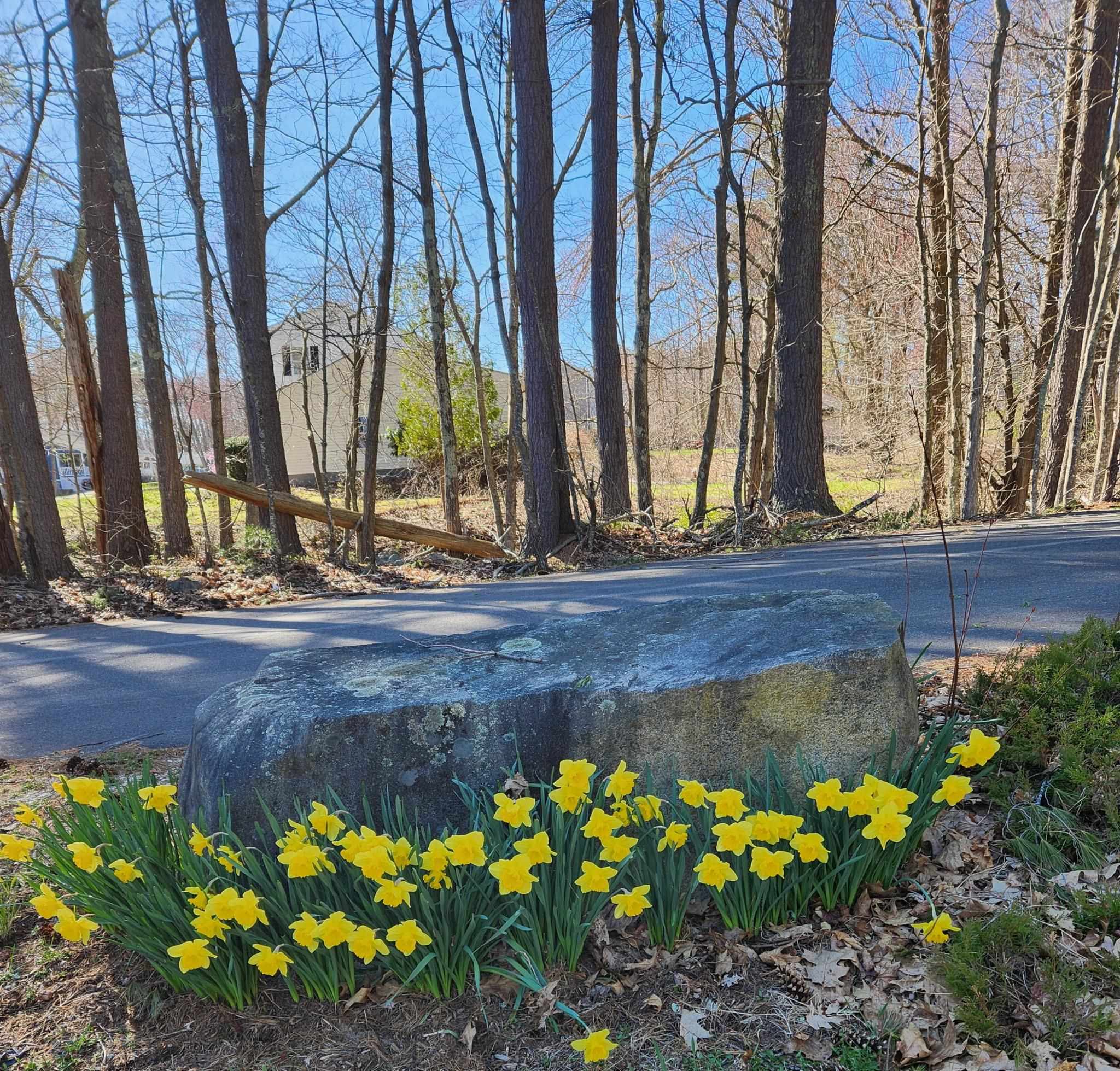 5 Quarry Road