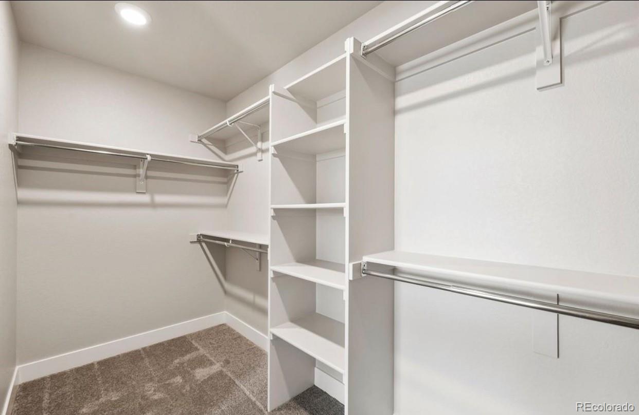 6195  Saddlesmith Street