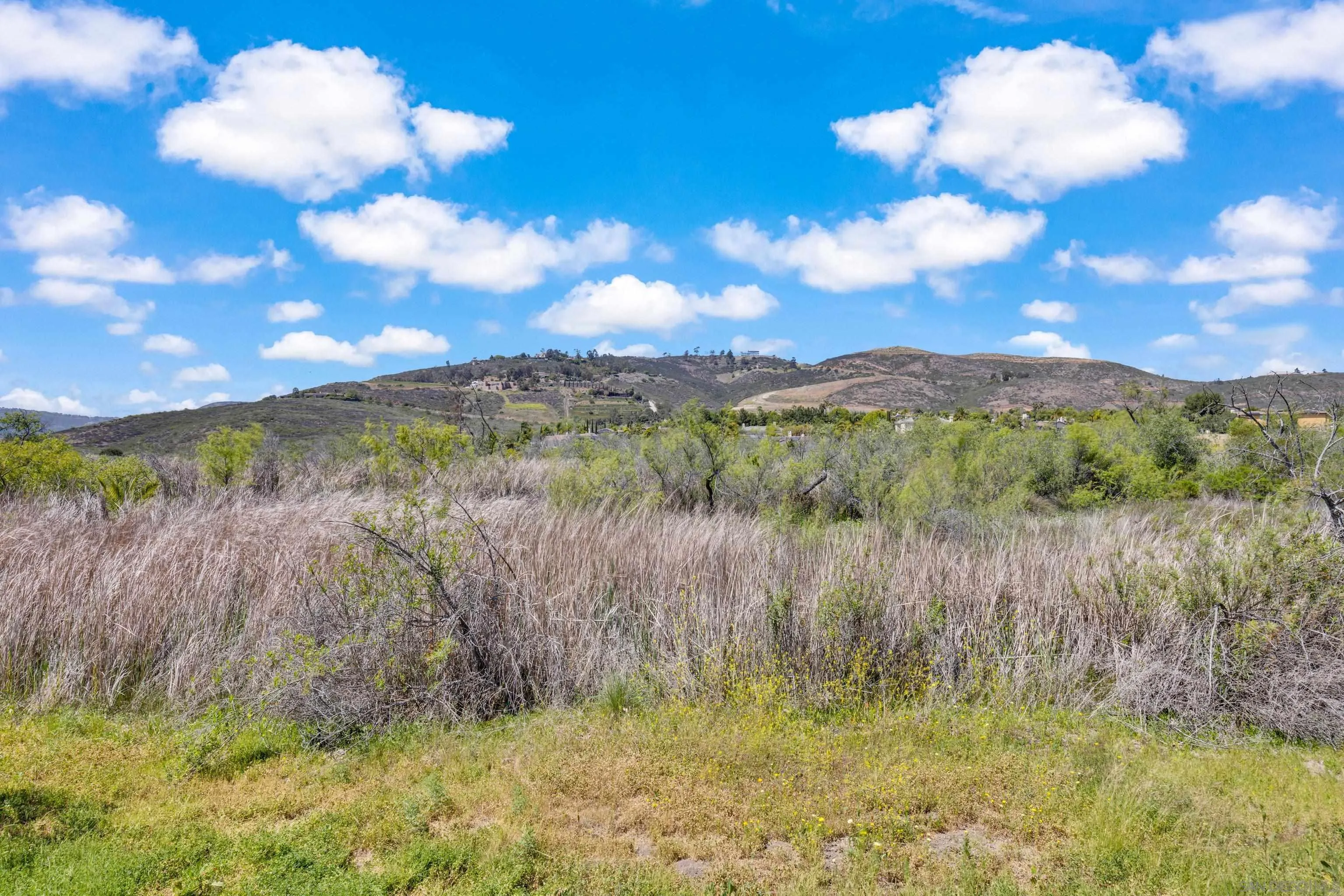 9343 Bernardo Lakes Dr.