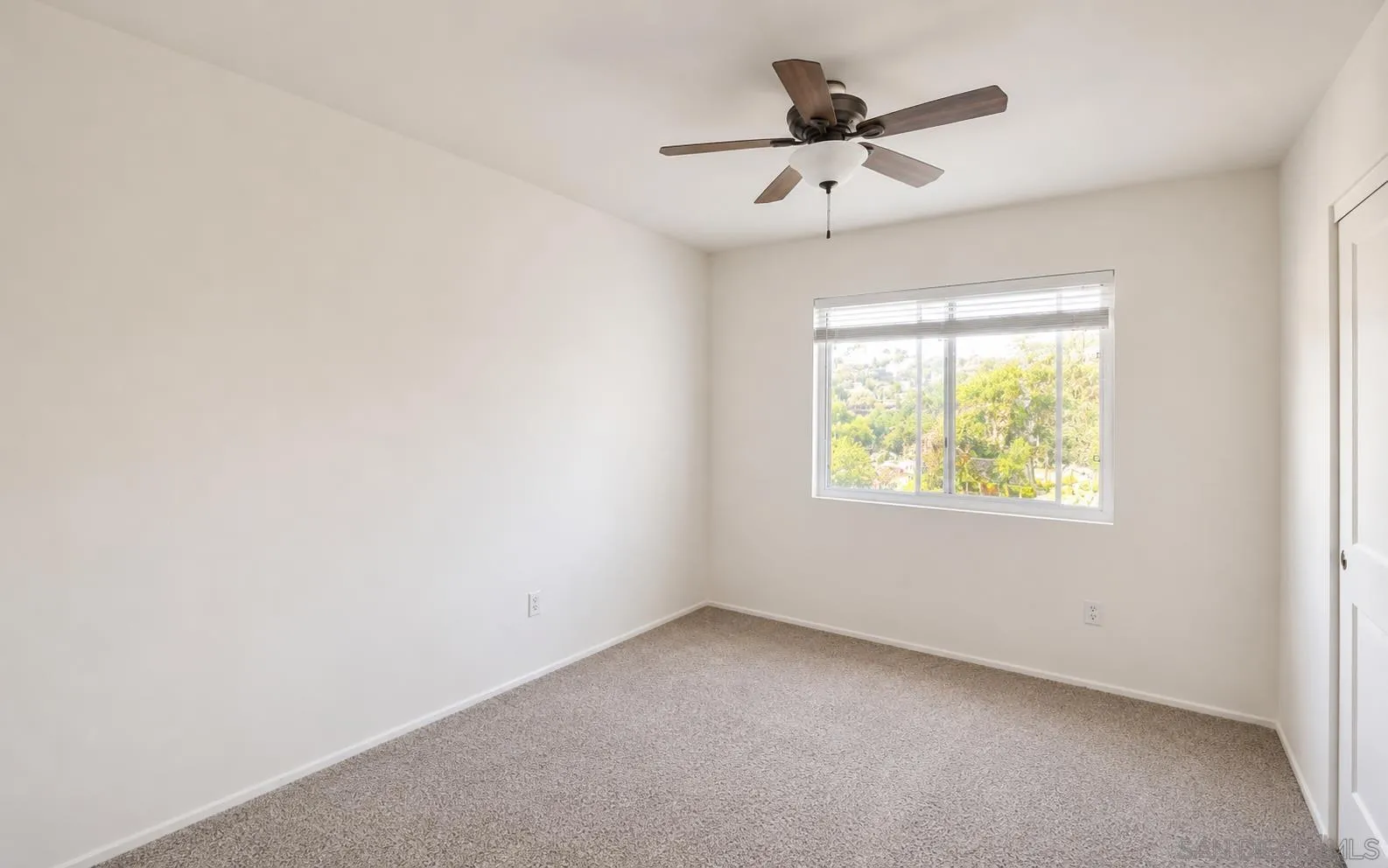 17702 Tristania Pl