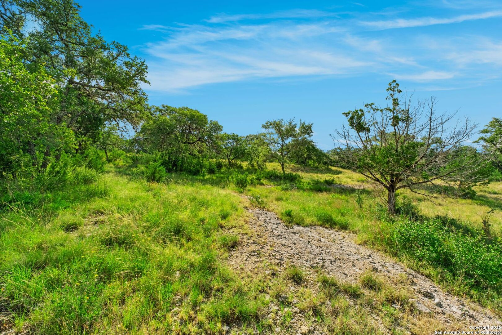 LOT 35 Riata Ranch