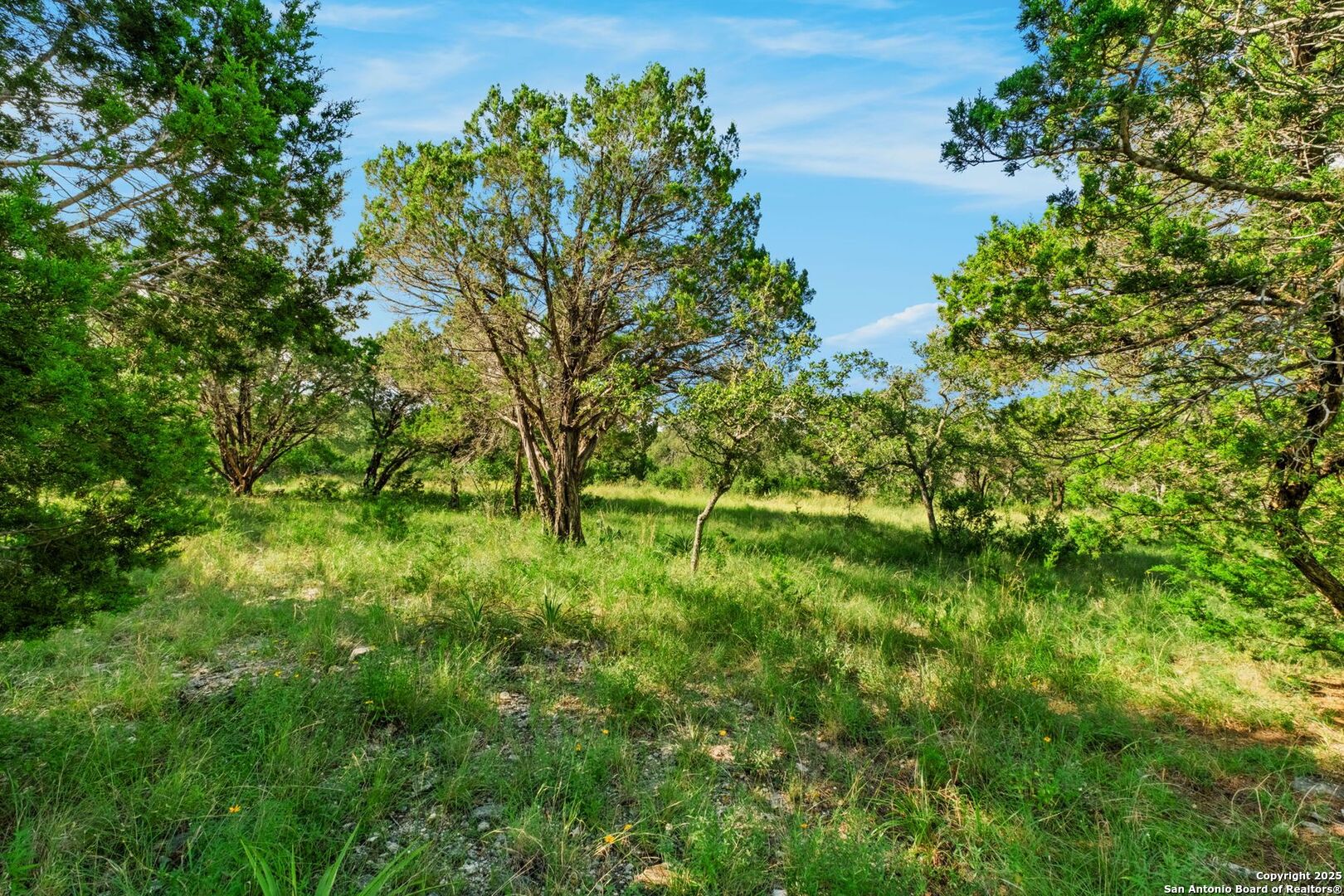 LOT 35 Riata Ranch