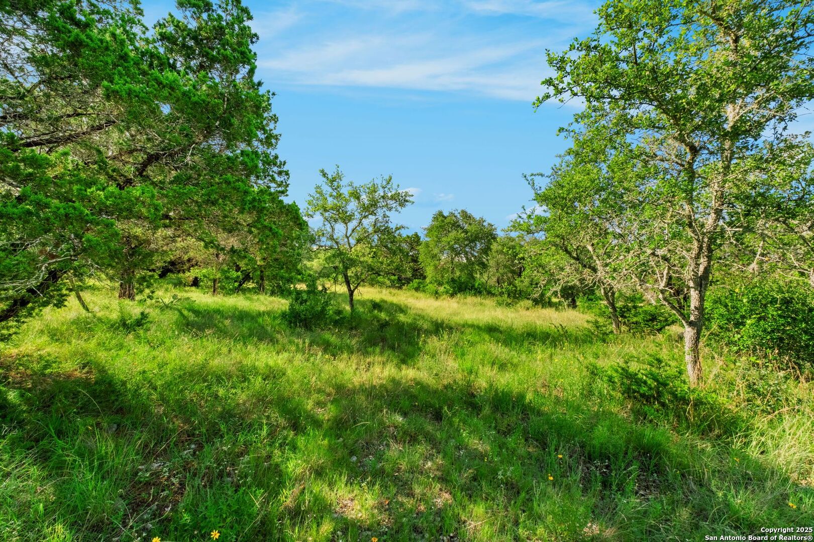 LOT 35 Riata Ranch
