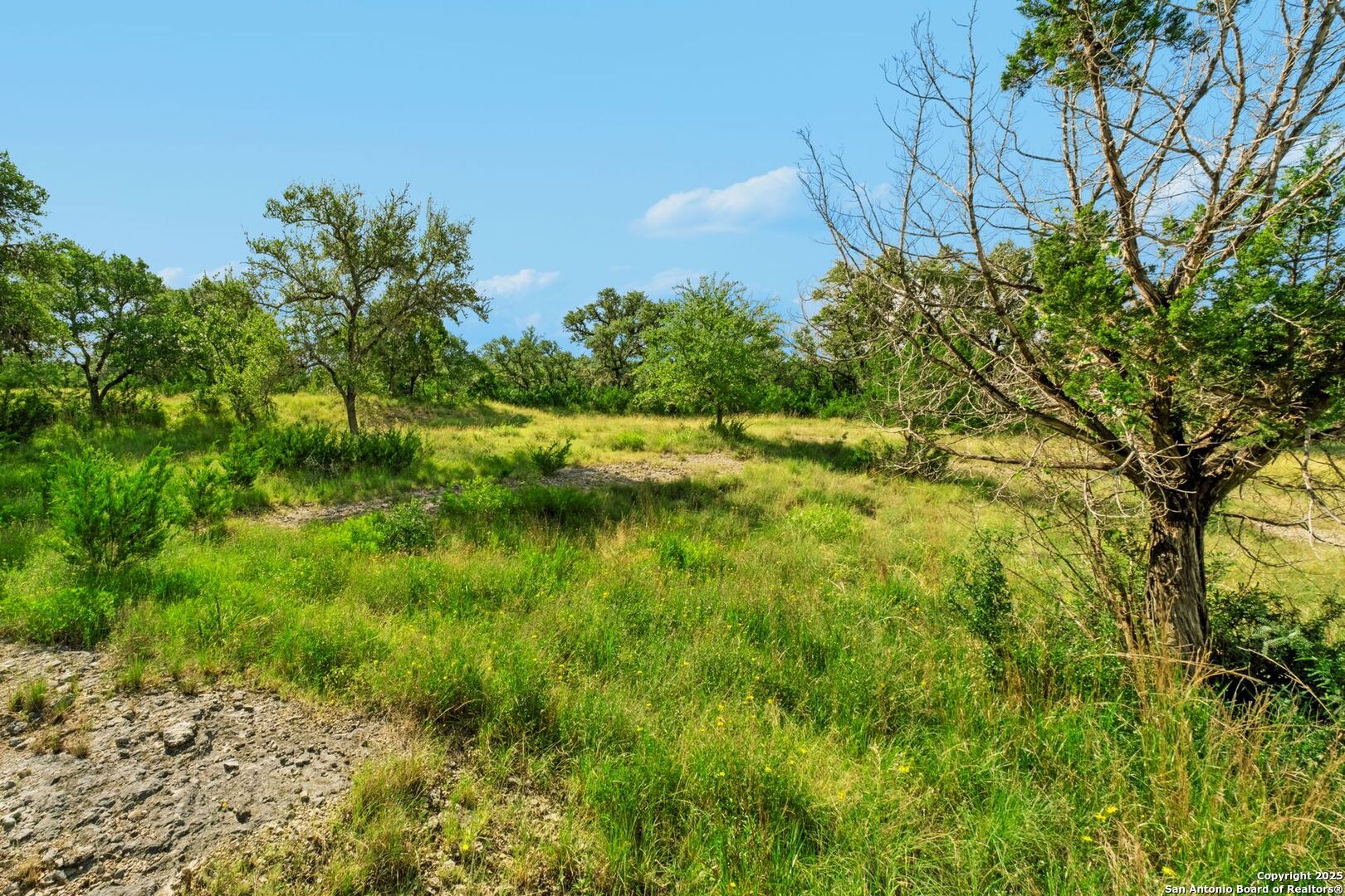 LOT 35 Riata Ranch