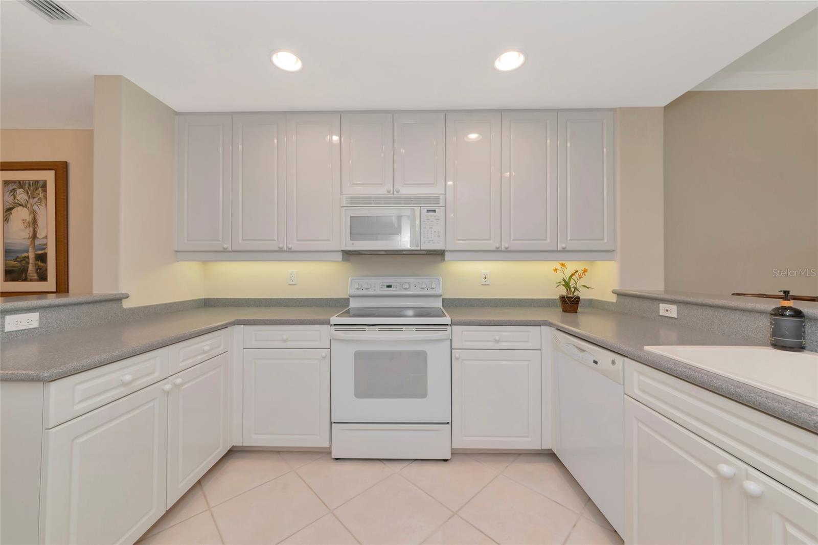 242 HIDDEN BAY DR #602