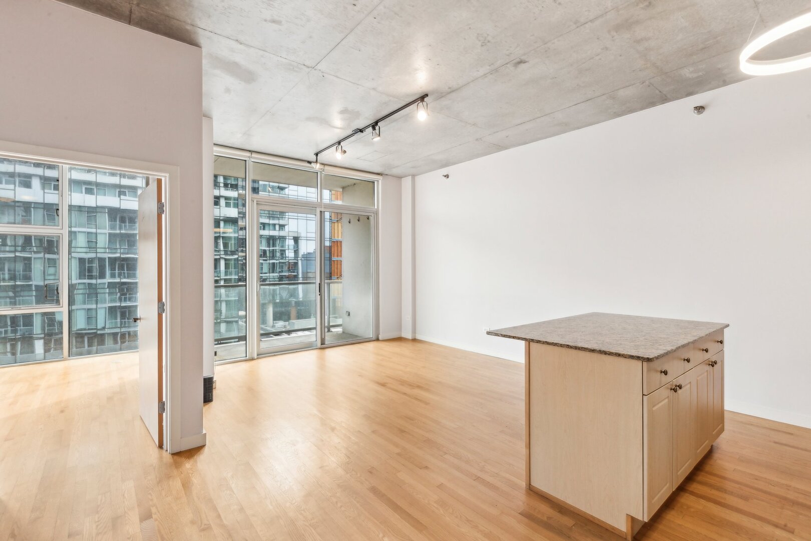 1720 S Michigan Avenue Unit: 503