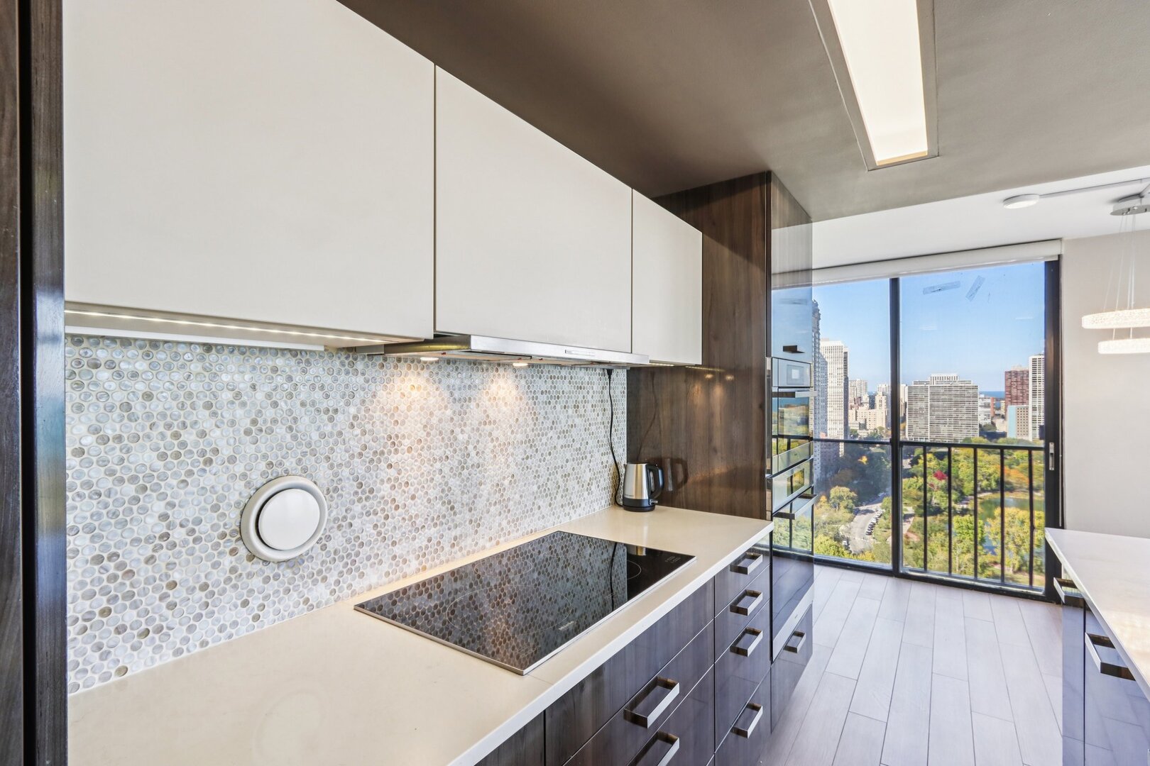 345 W Fullerton Parkway Unit: 2801