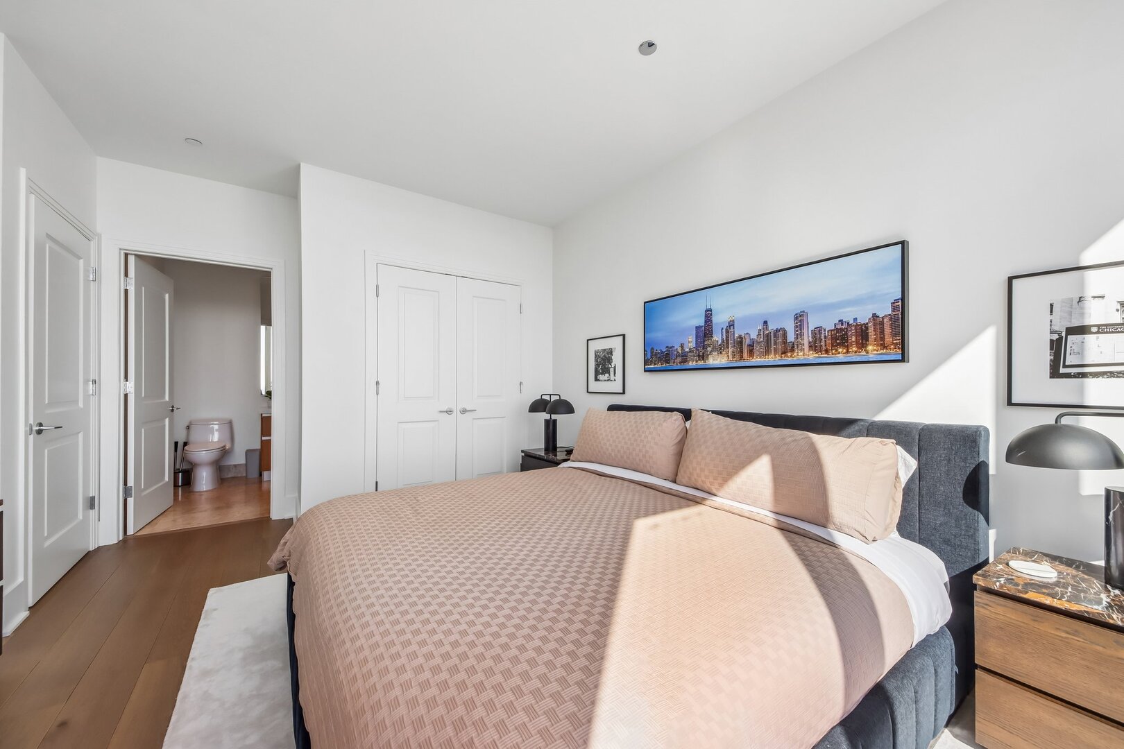 363 E Wacker Drive Unit: 4203