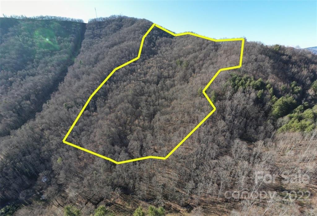 99999 Sweet Creek Road