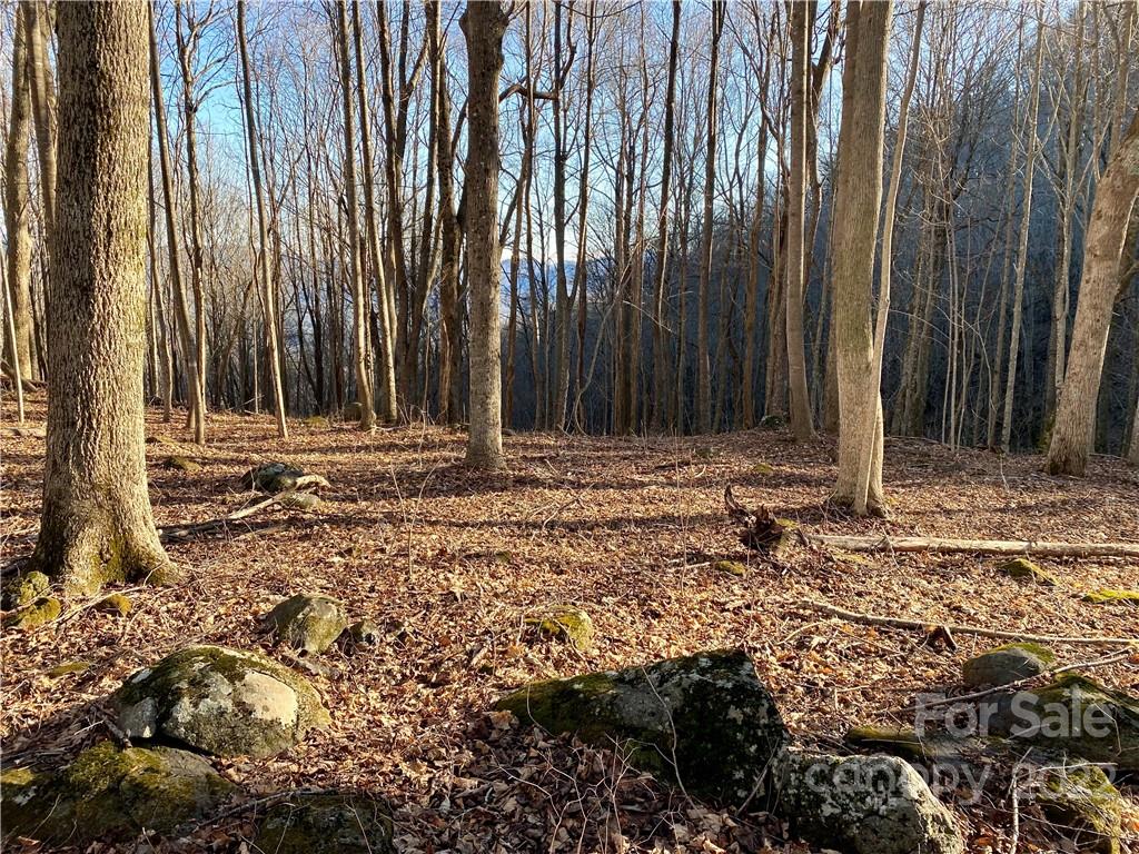99999 Sweet Creek Road