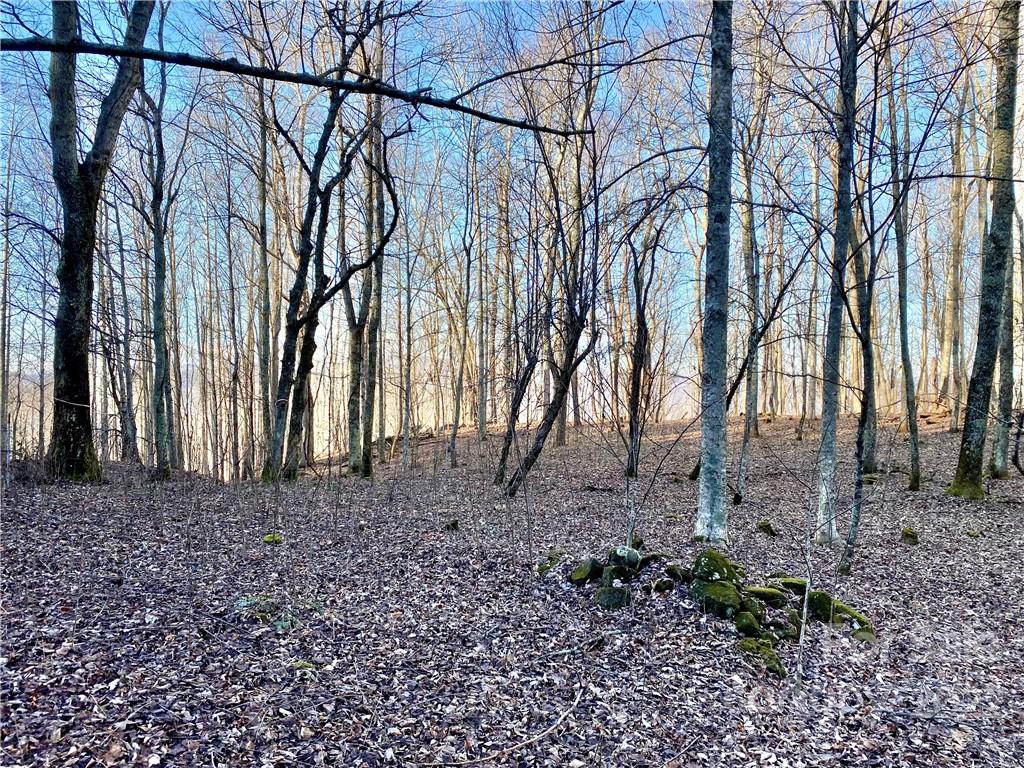 99999 Sweet Creek Road