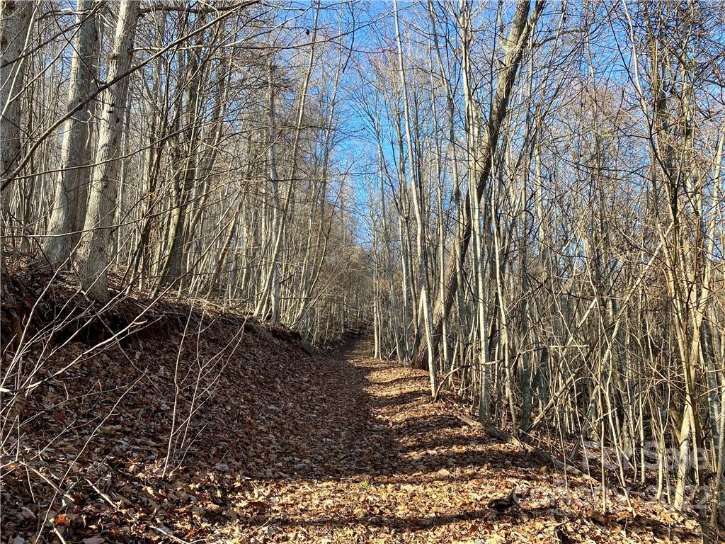 99999 Sweet Creek Road