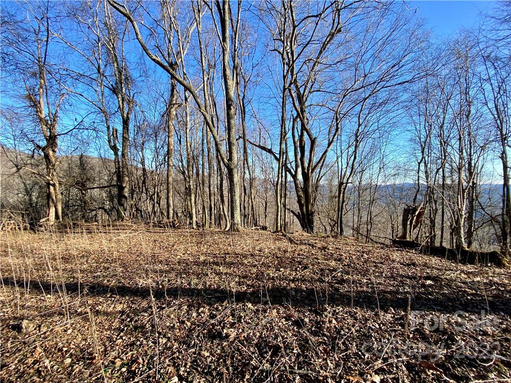 99999 Sweet Creek Road