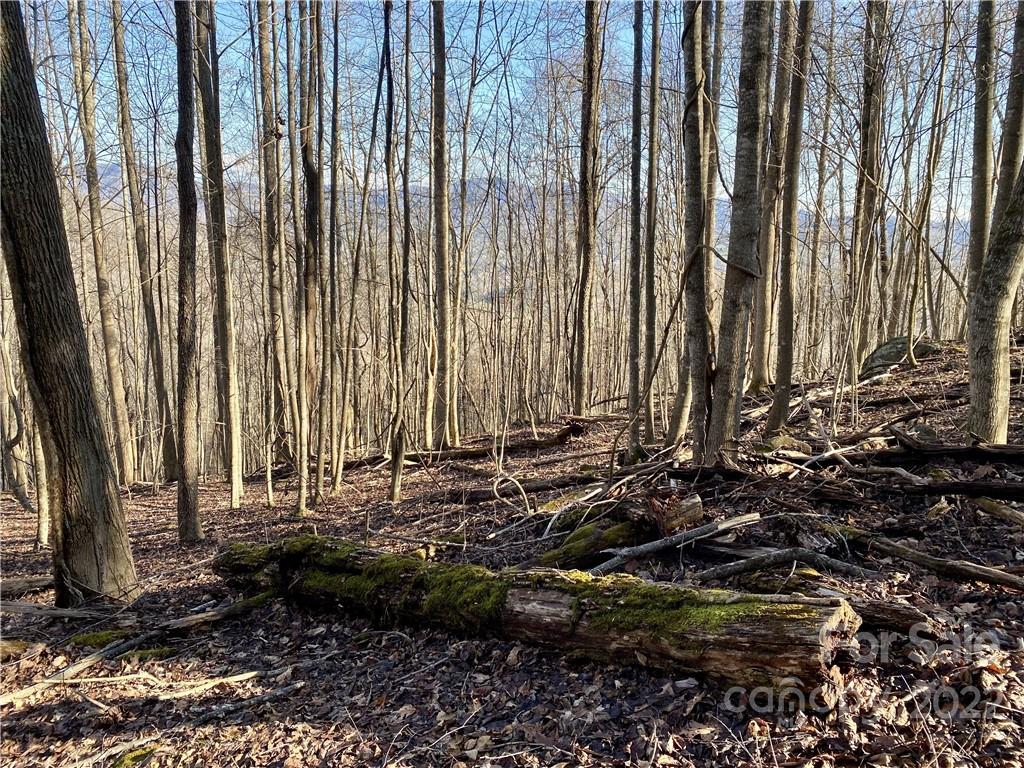 99999 Sweet Creek Road