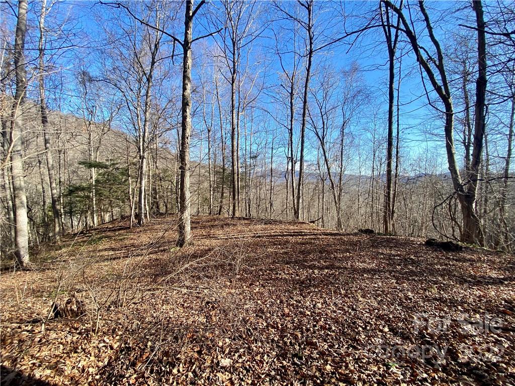 99999 Sweet Creek Road