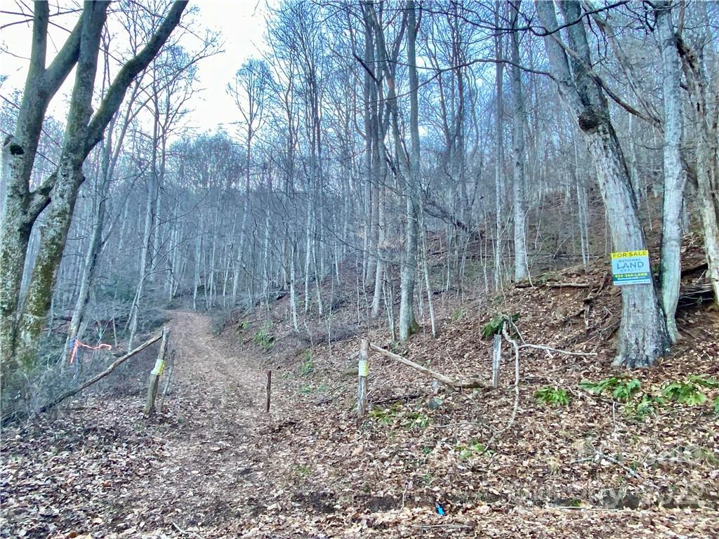 99999 Sweet Creek Road