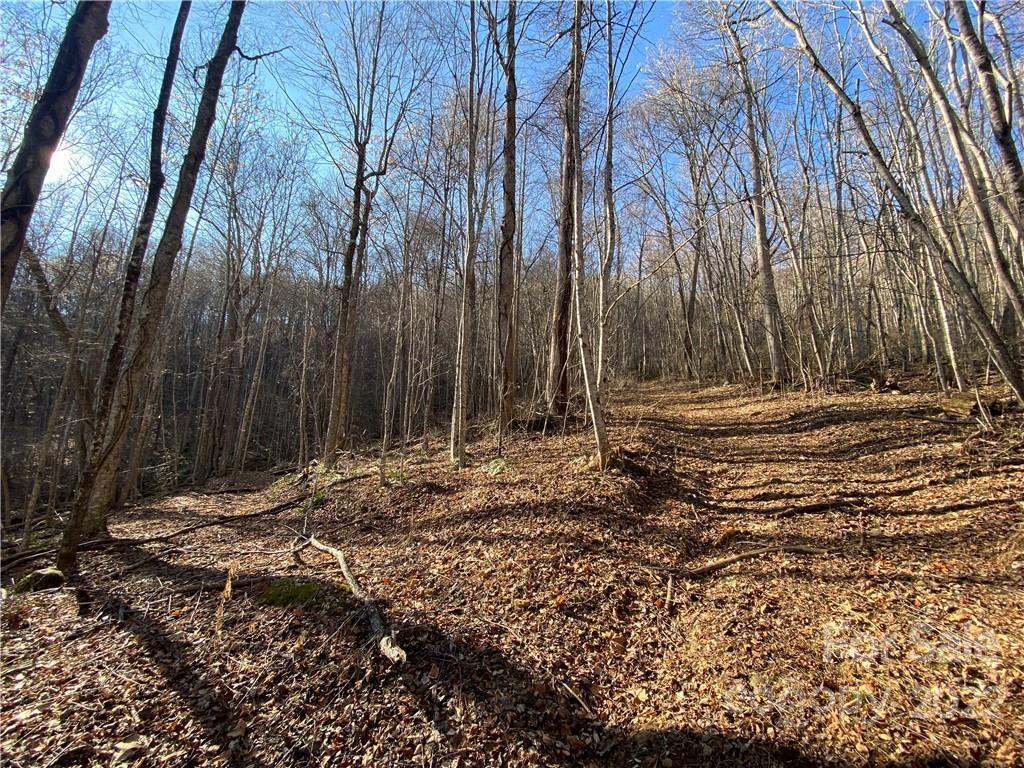 99999 Sweet Creek Road