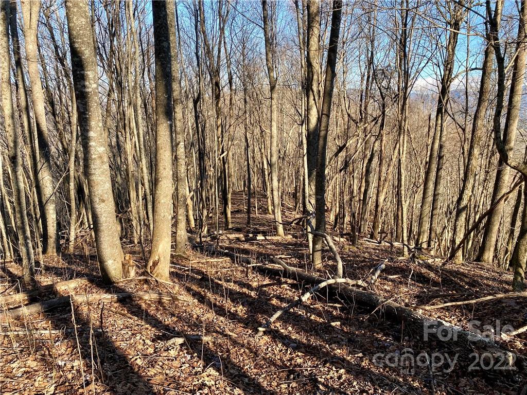 99999 Sweet Creek Road