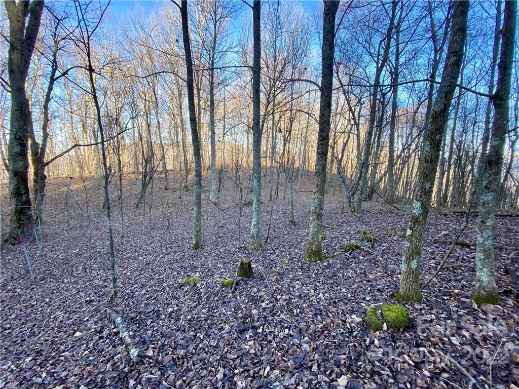 99999 Sweet Creek Road