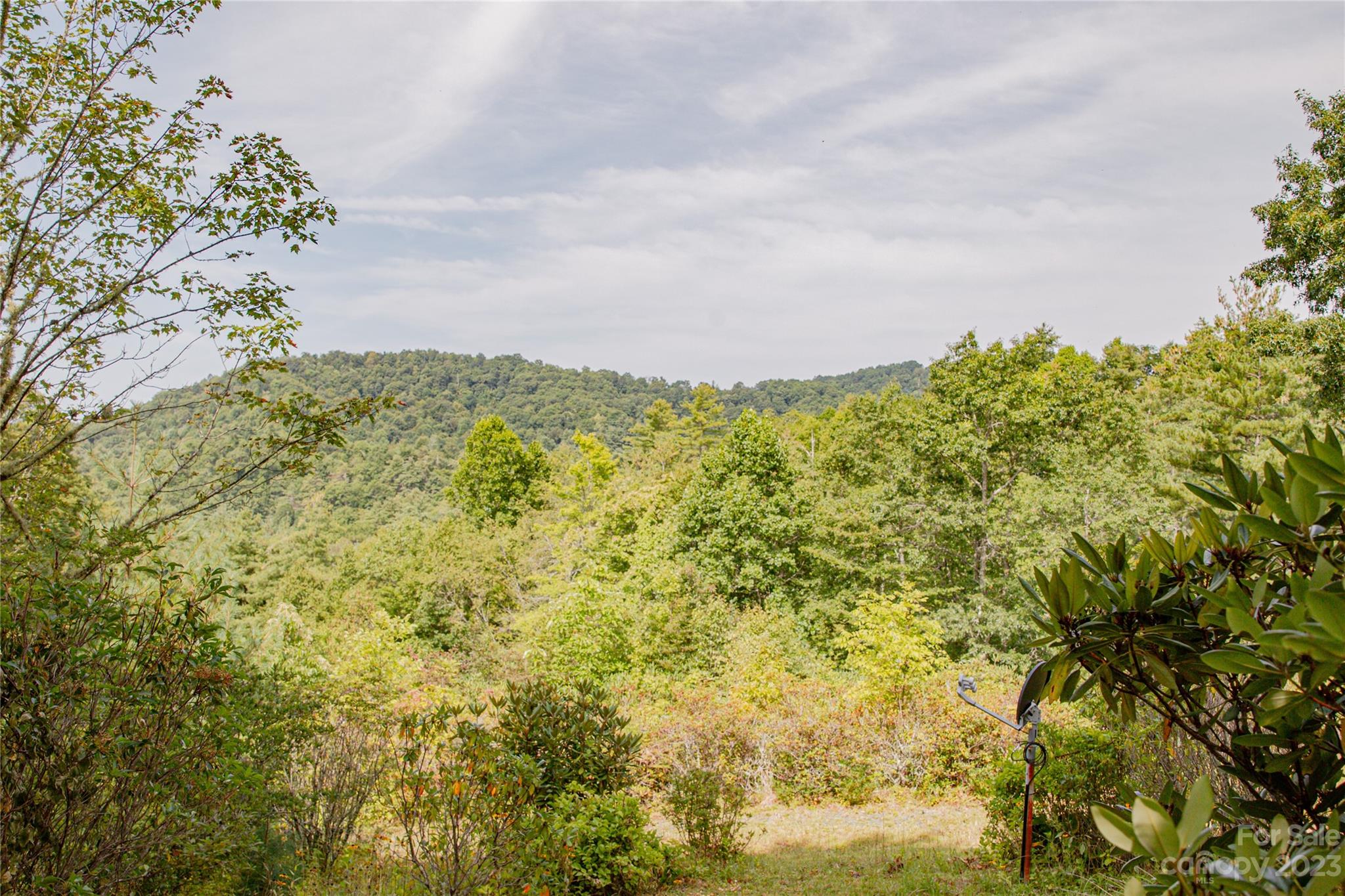 6376 Rhododendron Run