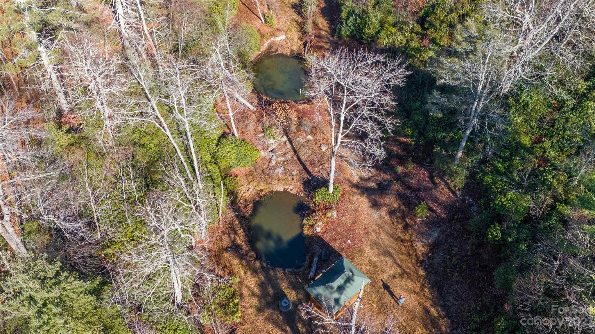 6376 Rhododendron Run