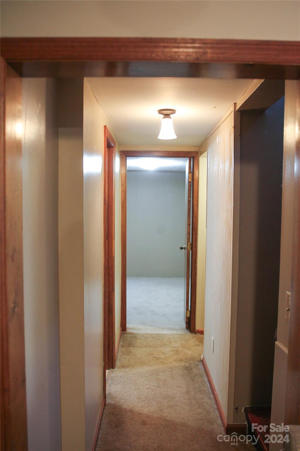 1407 Snow Creek Road