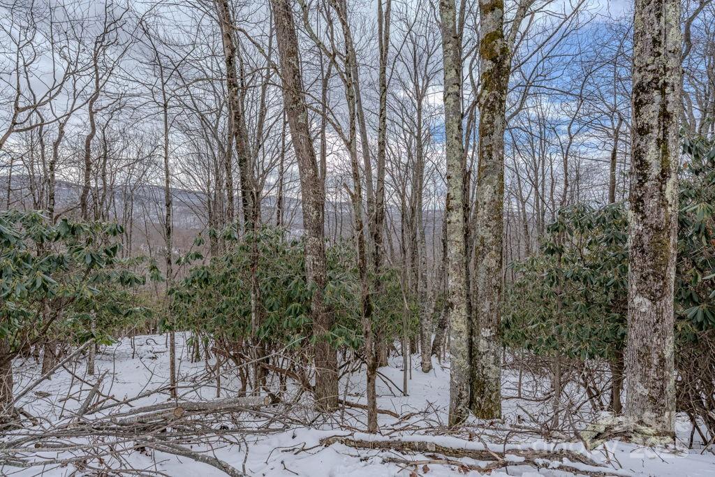 225 Oak Road