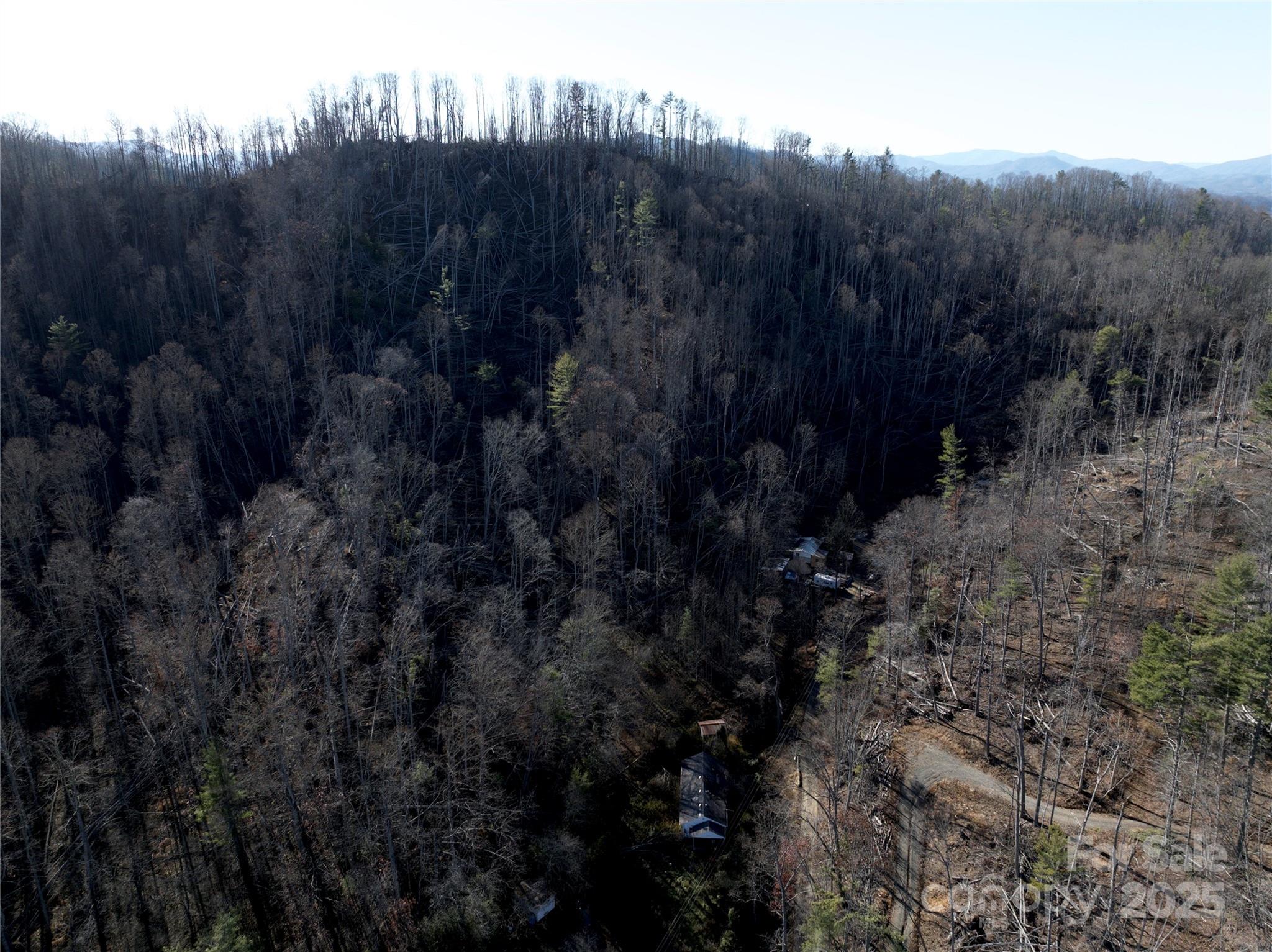 615 Fred Sparks Road