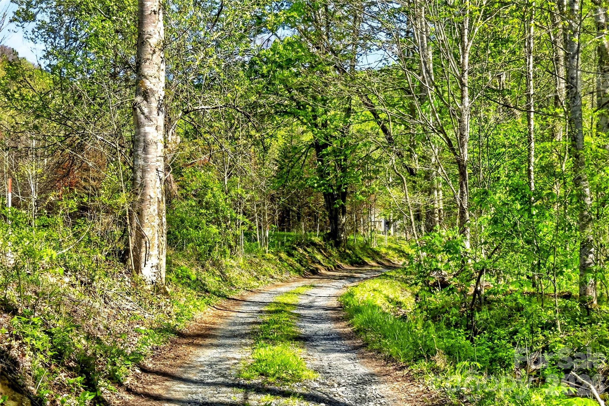 488 Cad Campbell Road