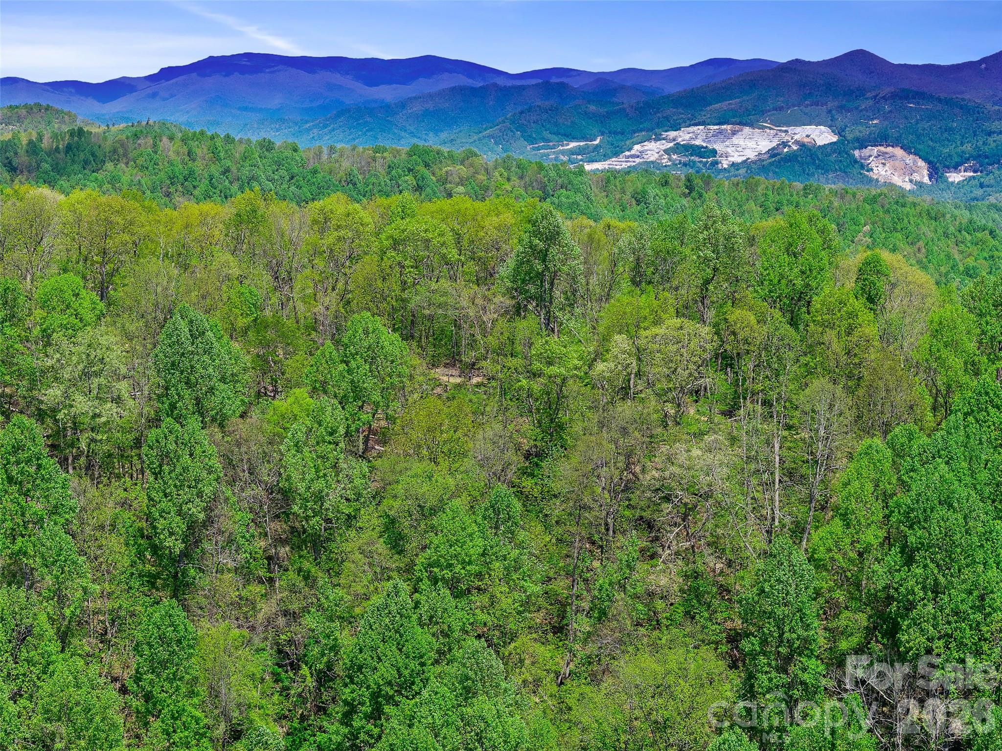 TBD Holly Dale Drive