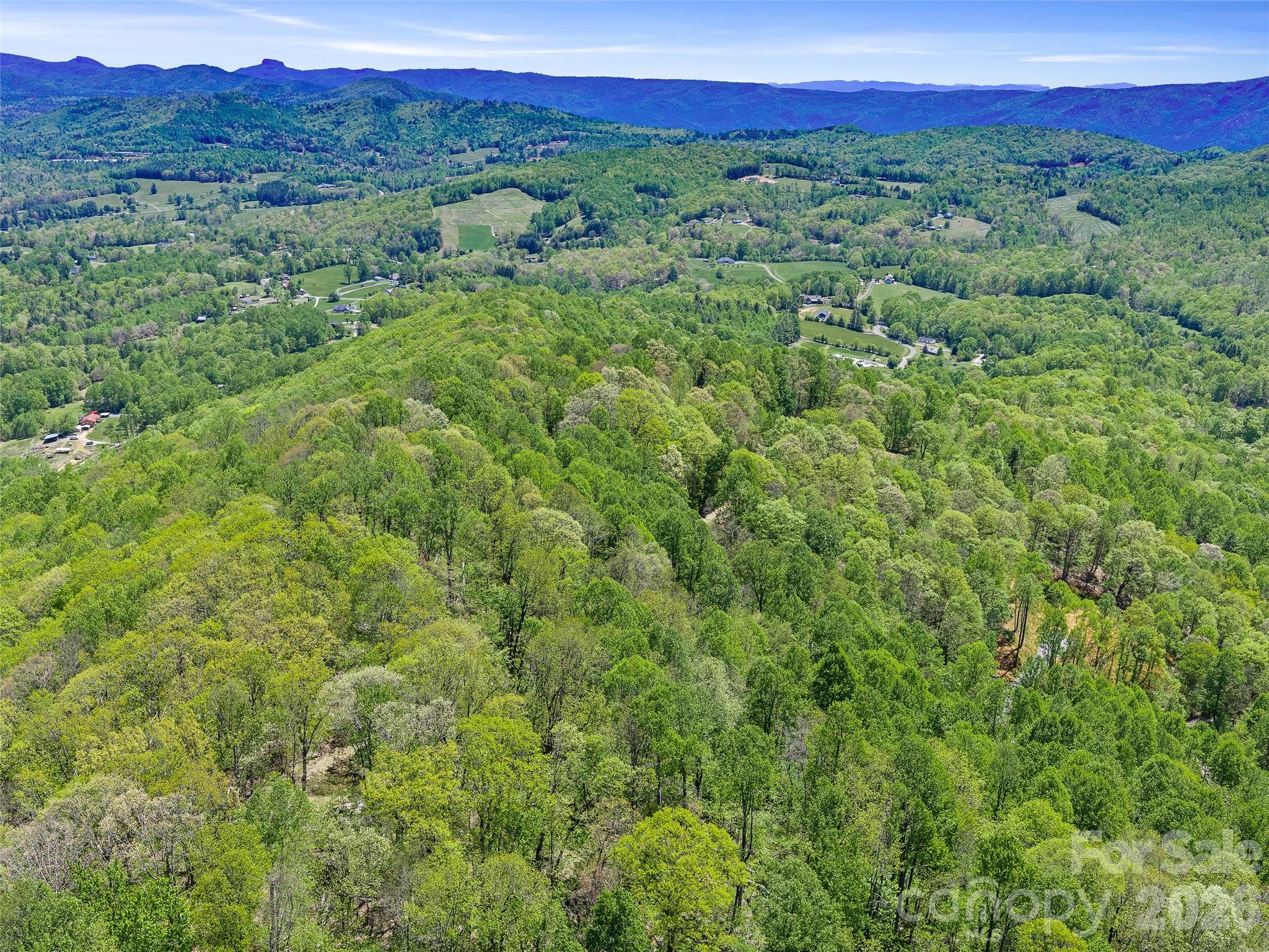 TBD Holly Dale Drive