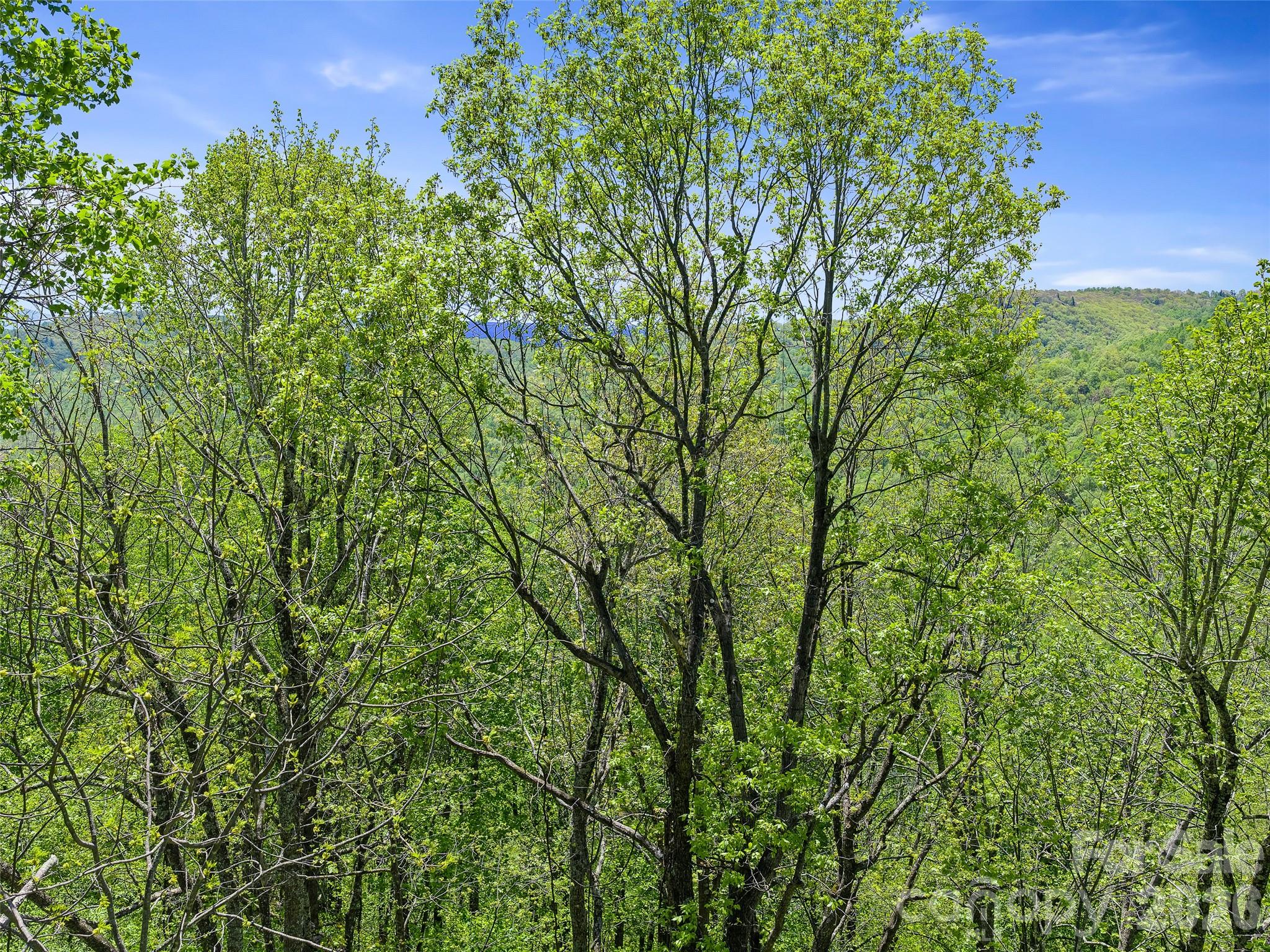 TBD Holly Dale Drive