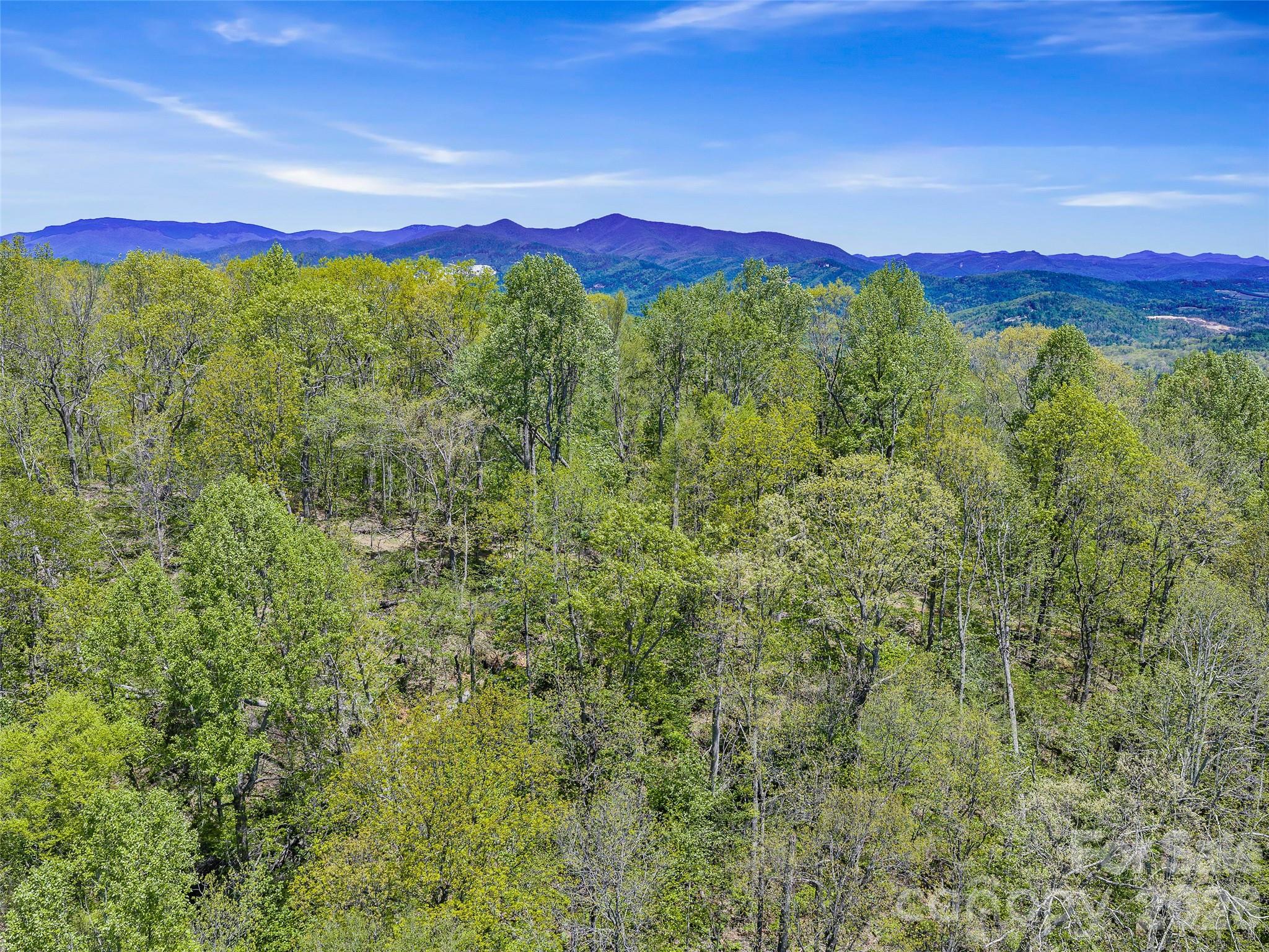 TBD Holly Dale Drive