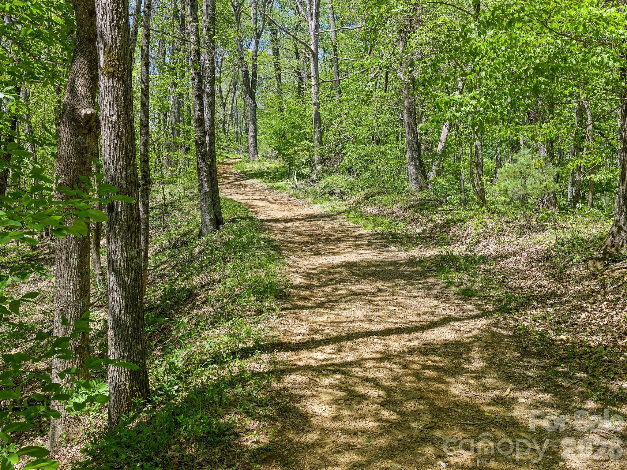 TBD Holly Dale Drive