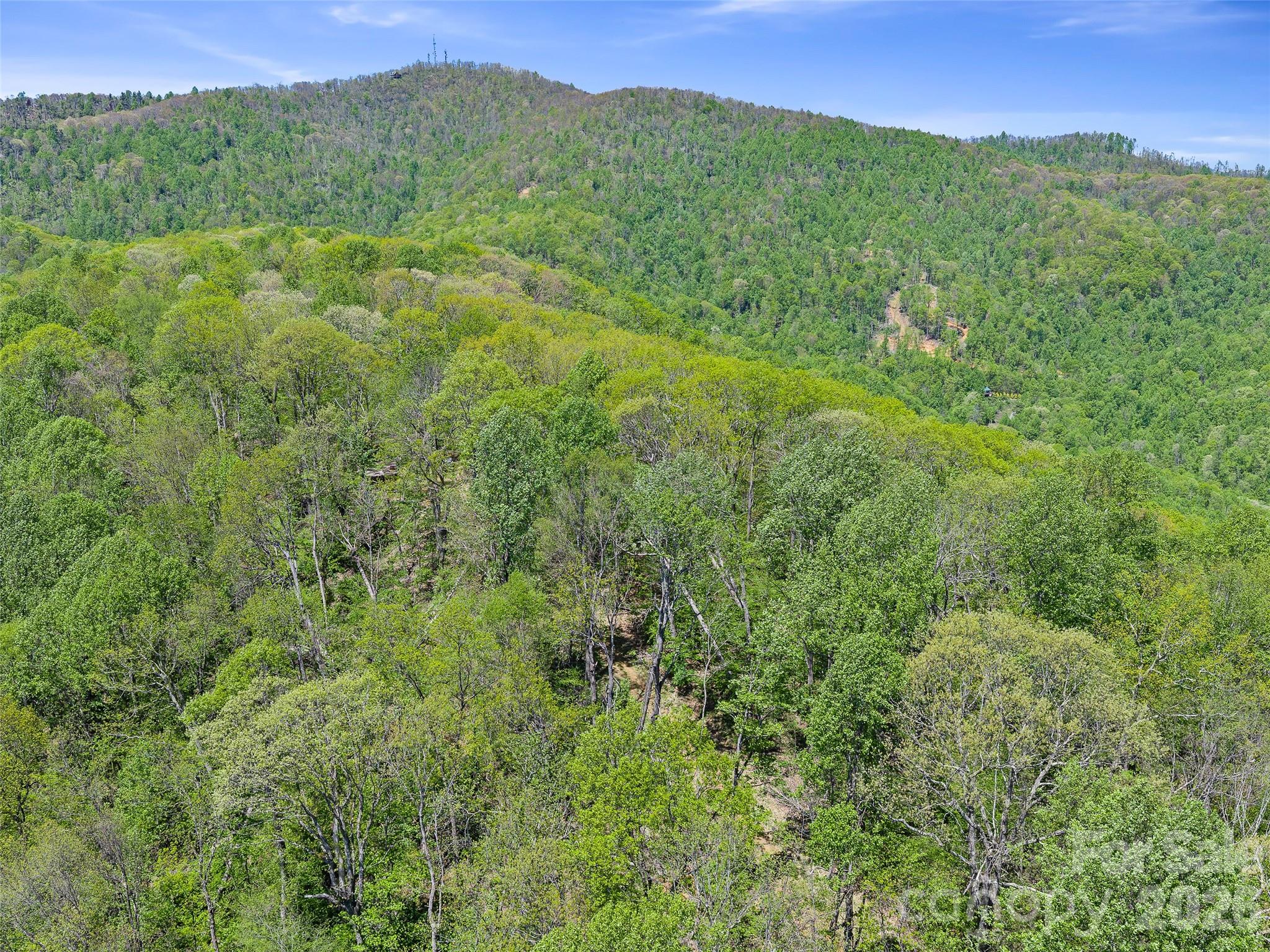 TBD Holly Dale Drive