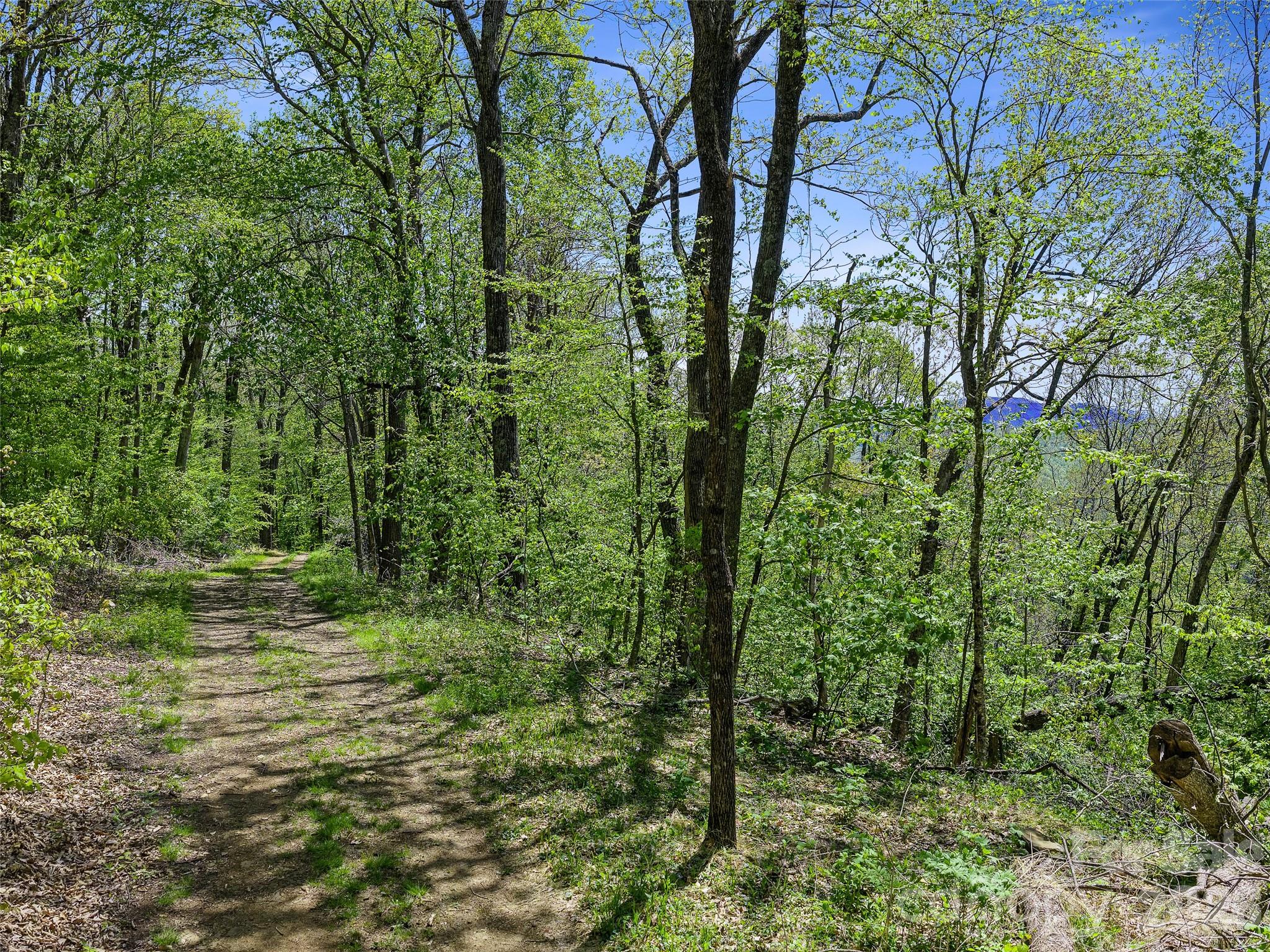 TBD Holly Dale Drive