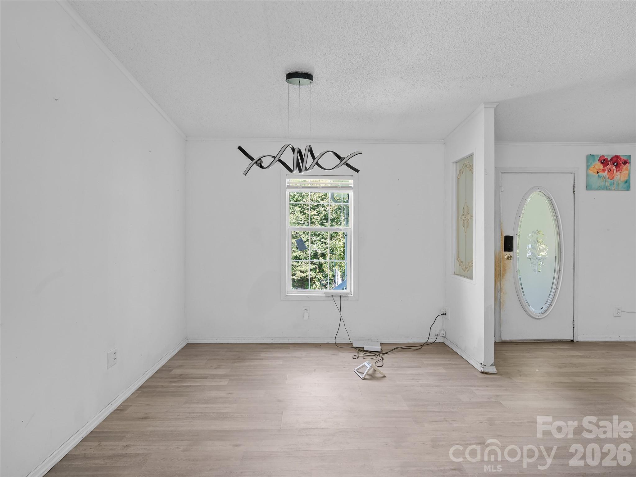 Empty room with light wood-look flooring, a sculptural pendant light, and an oval-glass entry door.