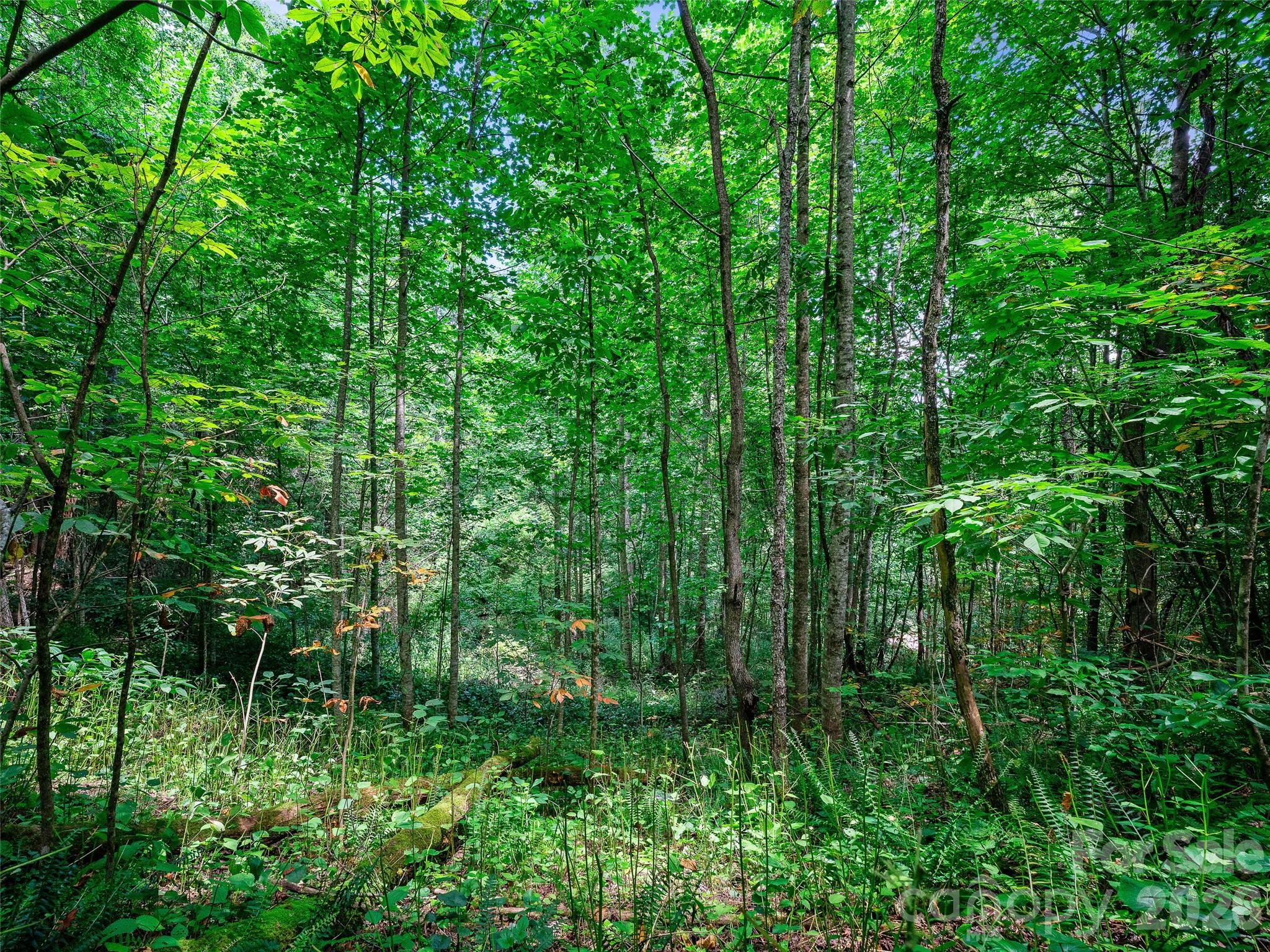 000 Cove Mountain Road