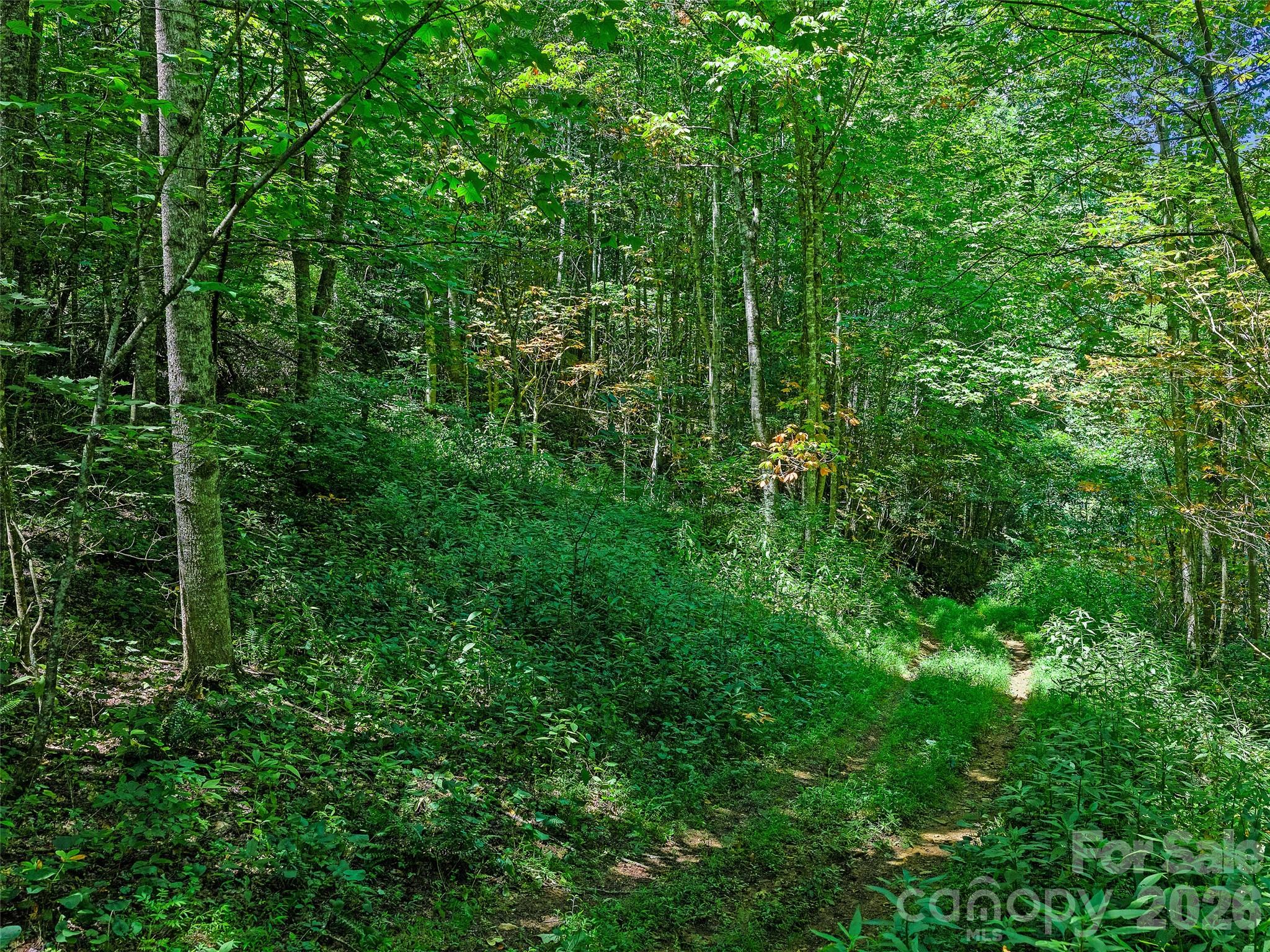 000 Cove Mountain Road