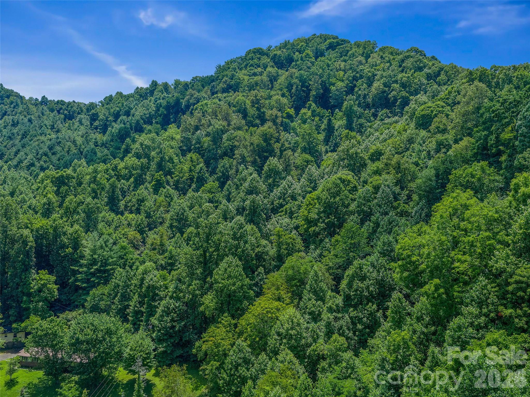 000 Cove Mountain Road